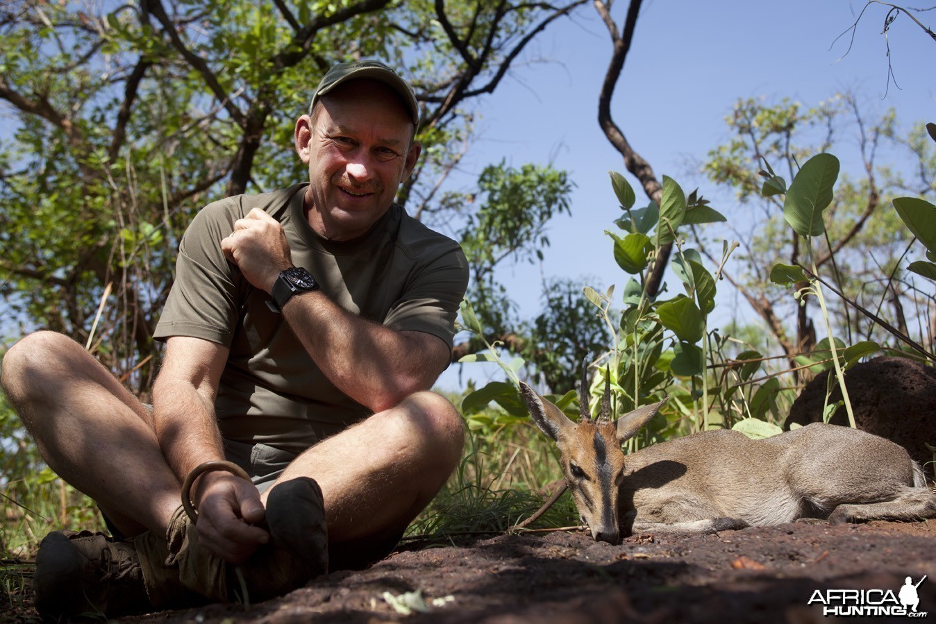 West African Bush Duiker