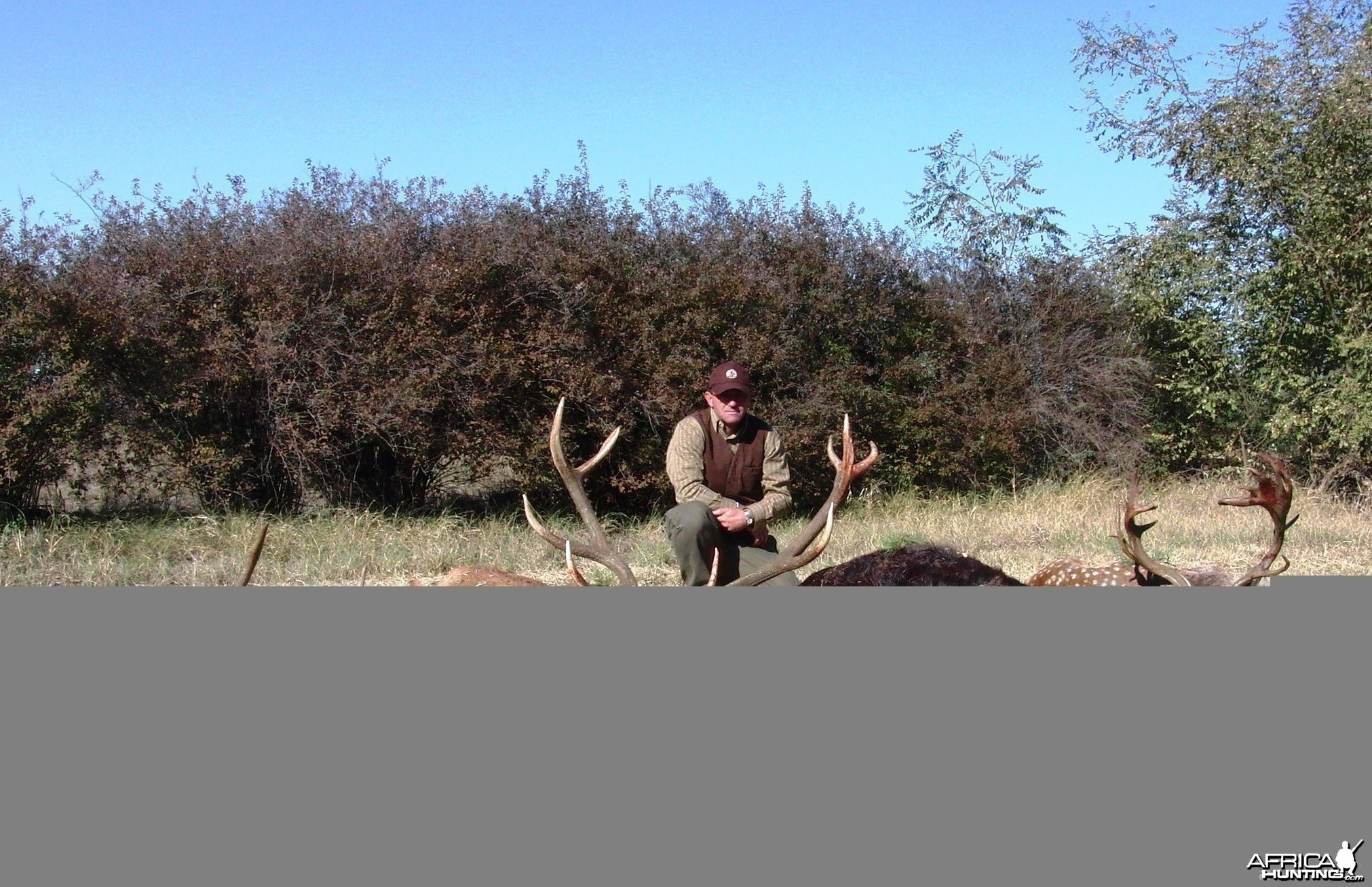 Hunting in Hungary