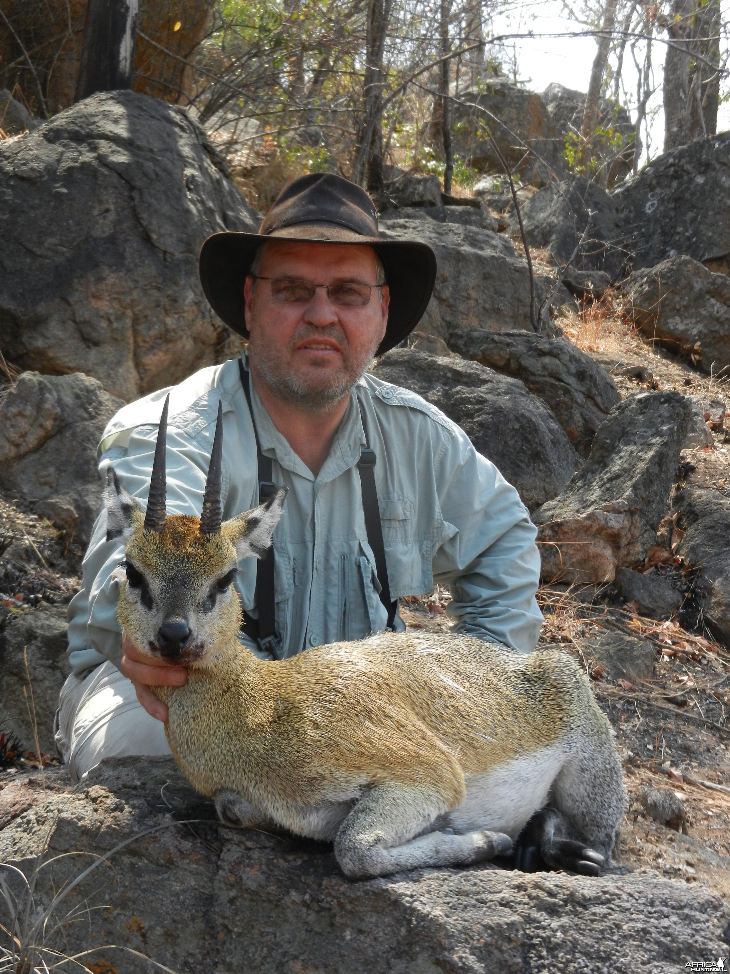 KLIPSPRINGER TAKEN ON SAFARI IN SEPTEMBER 2011