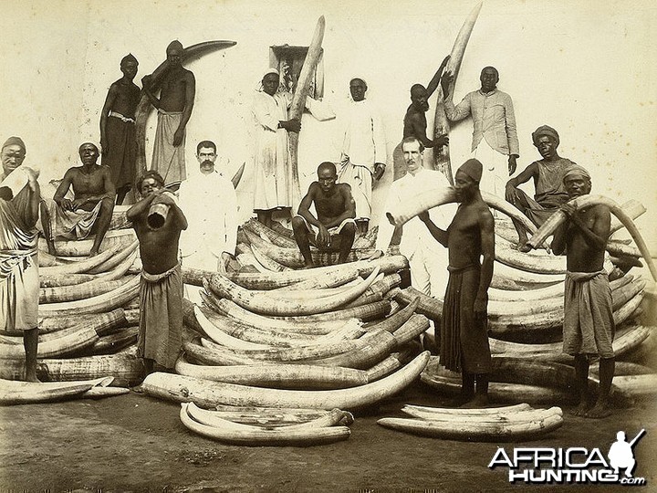 Ivory trade in East Africa during the 1880s and 1890s