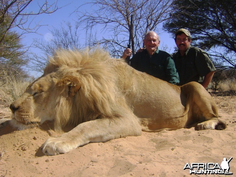 Hunting lion with Savanna hunting safaris