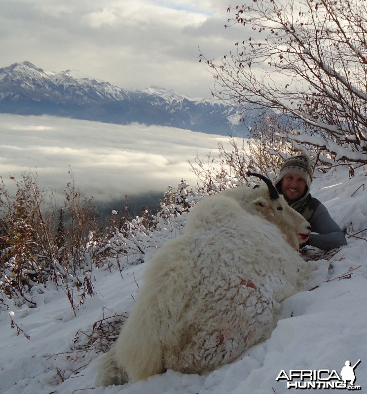 British Columbia Rocky Mountain Goat Hunt