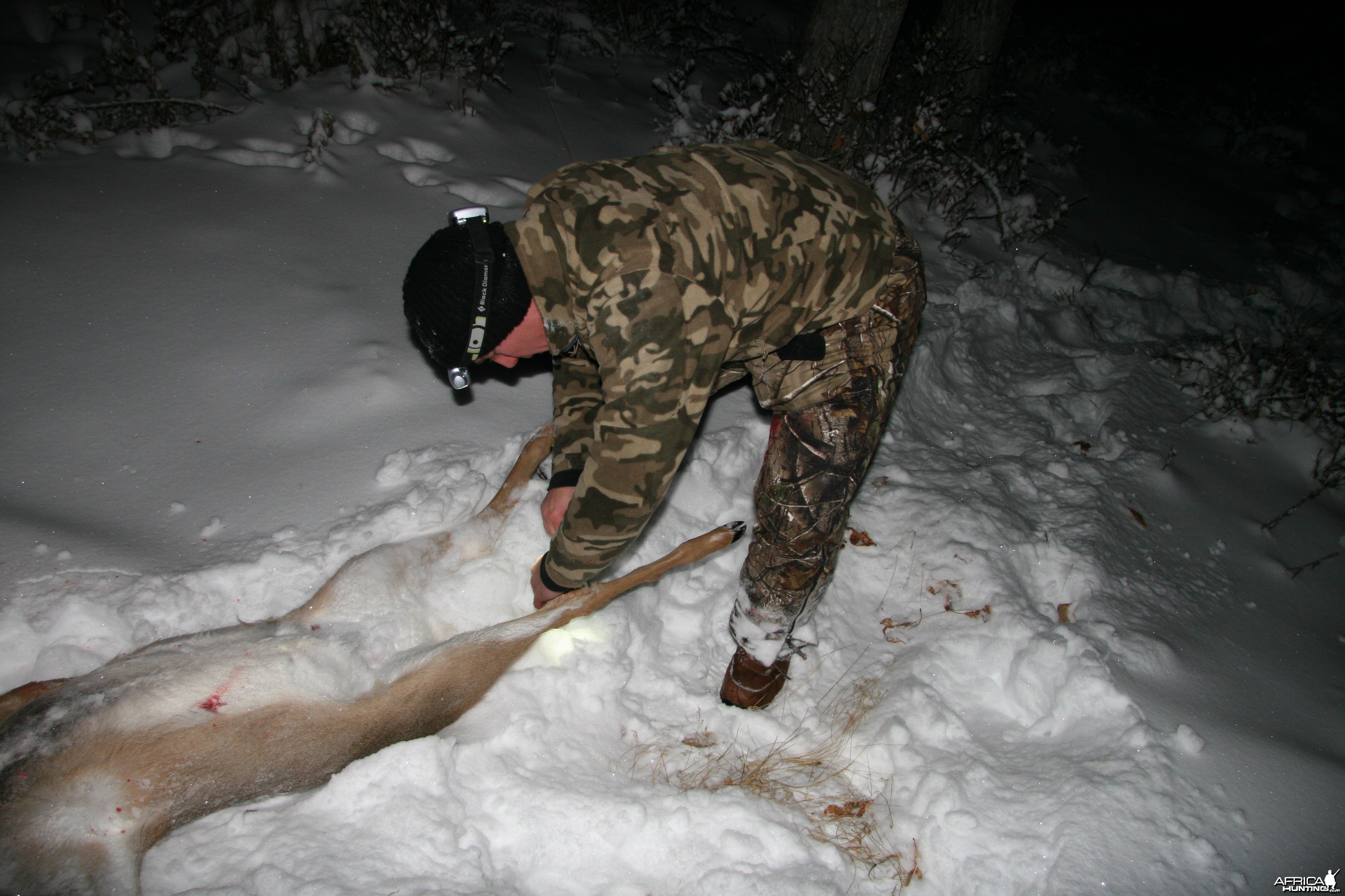 Field Dressing