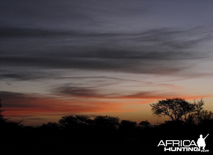 SOUTH AFRICA, Limpopo province. August of 2009