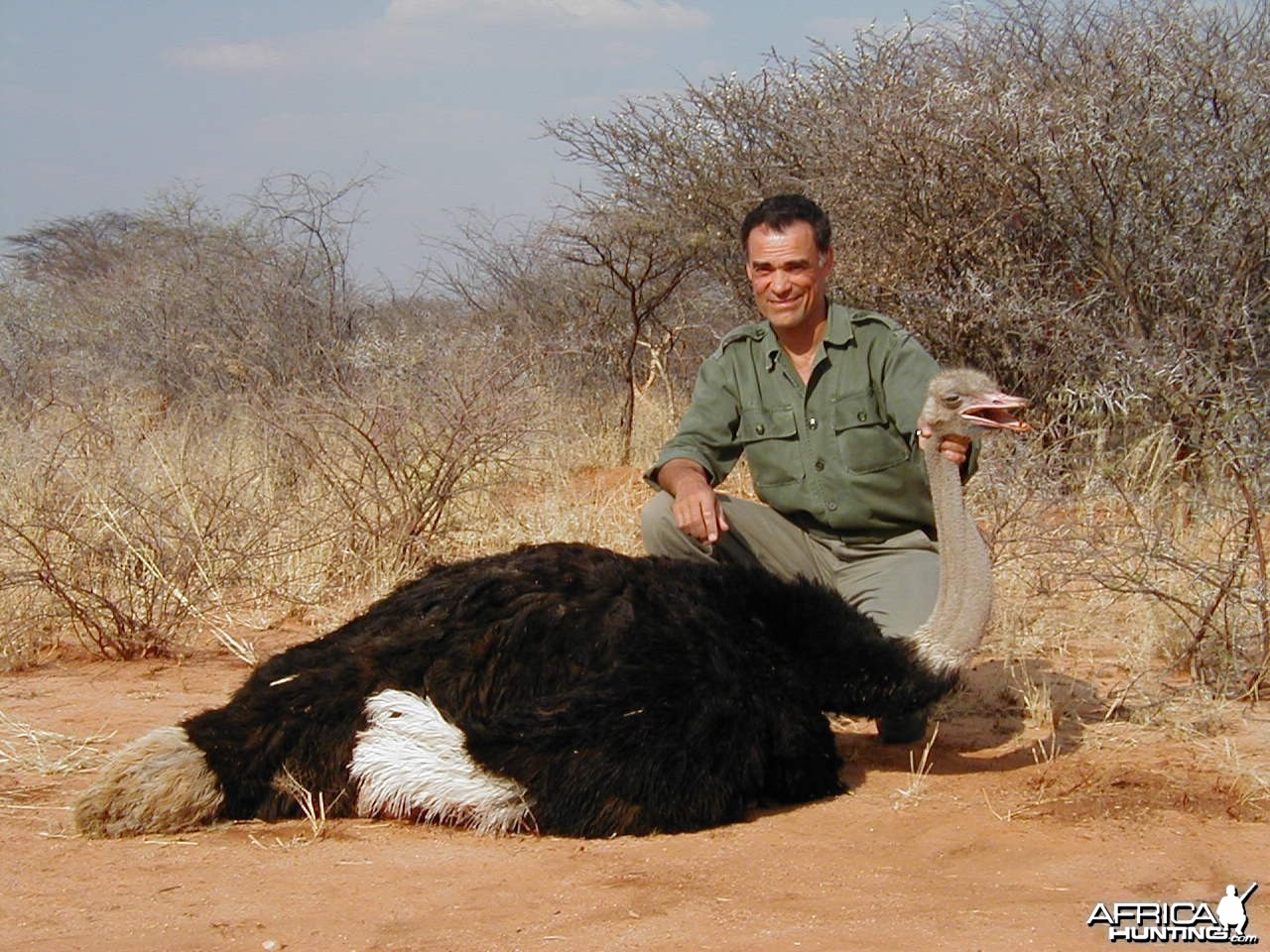 Ostrich Hunting in Namibia