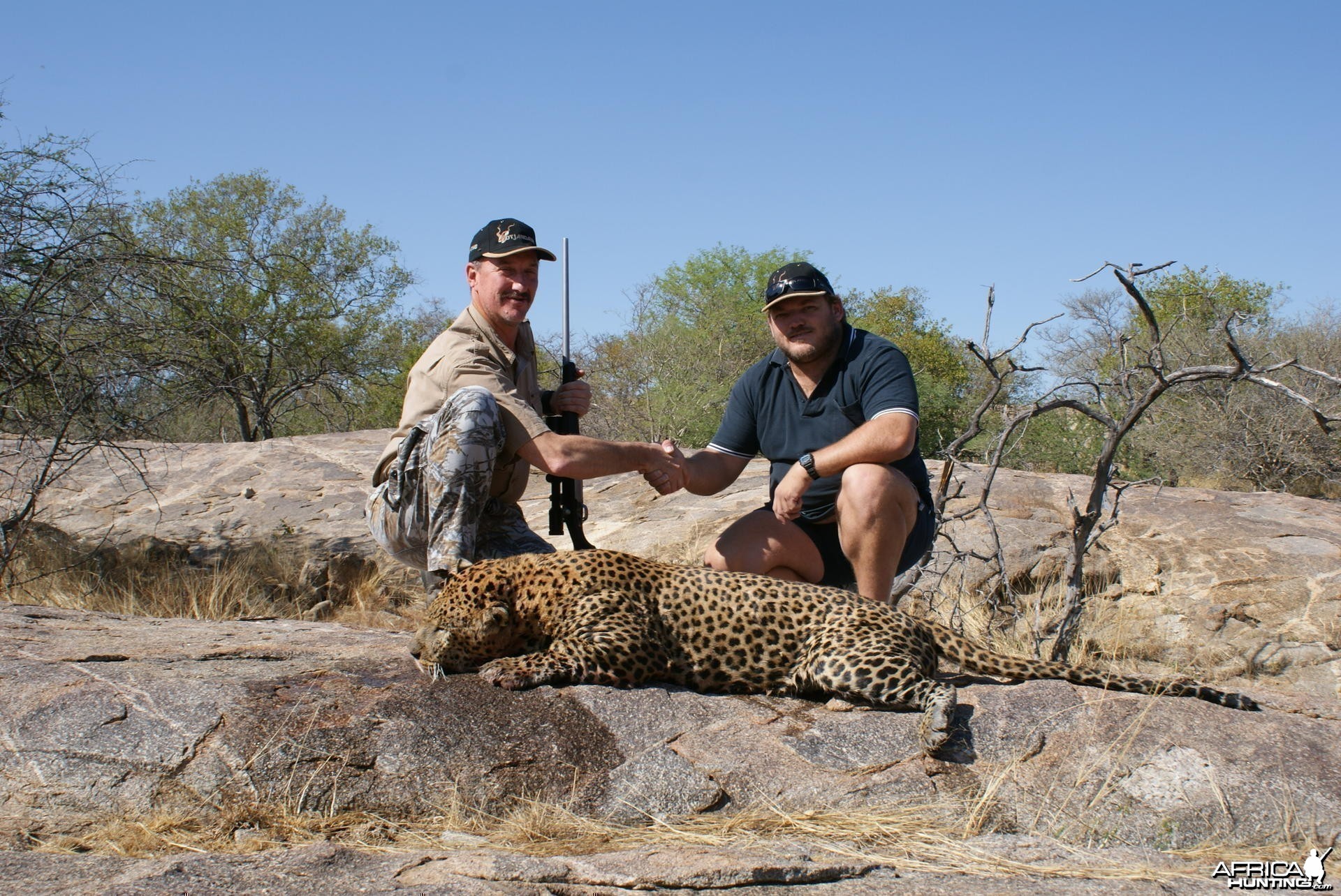 Leopard Namibia