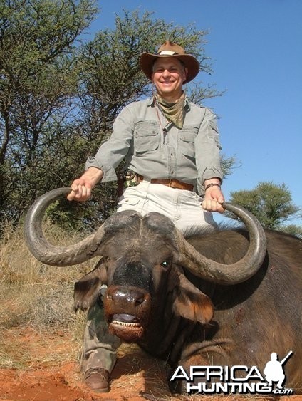 Cape Buffalo