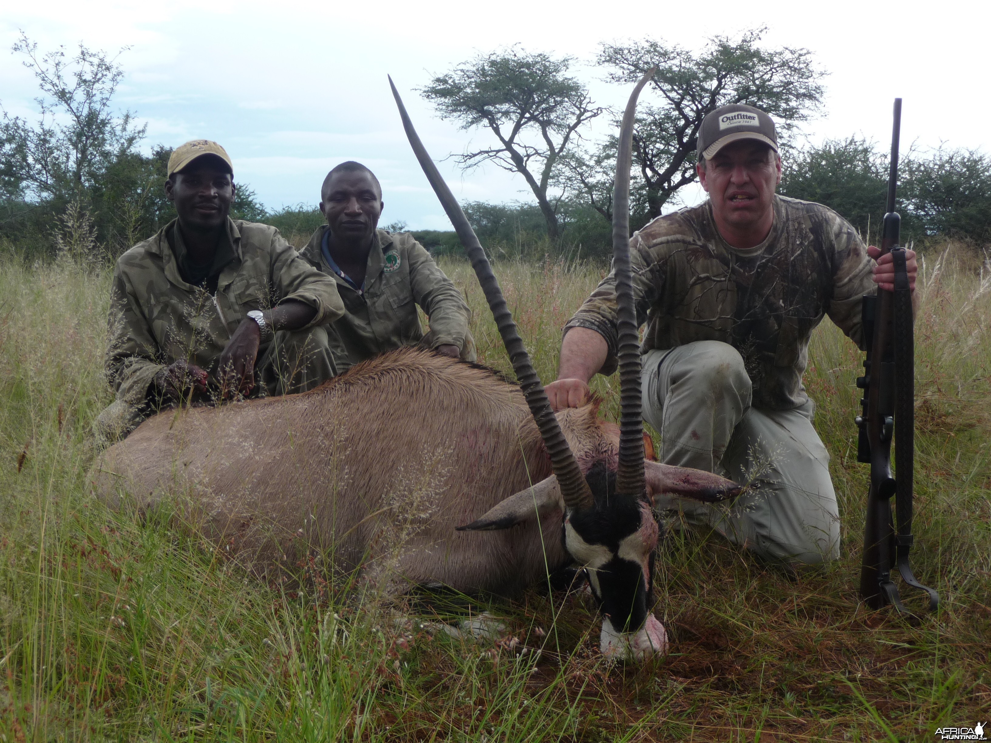 Gemsbok