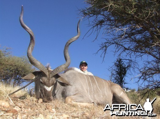 Greater Kudu Namibia