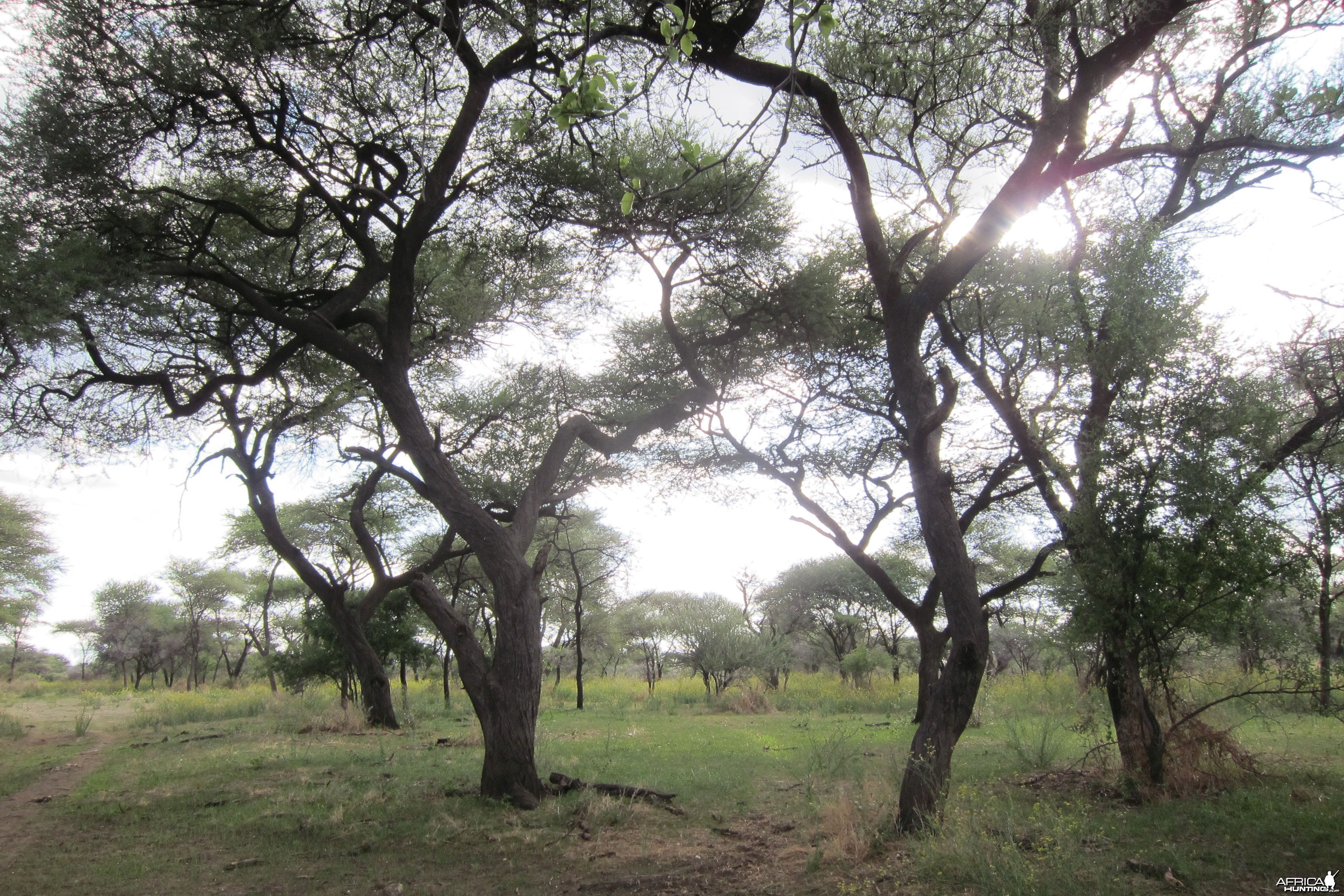 Namibia