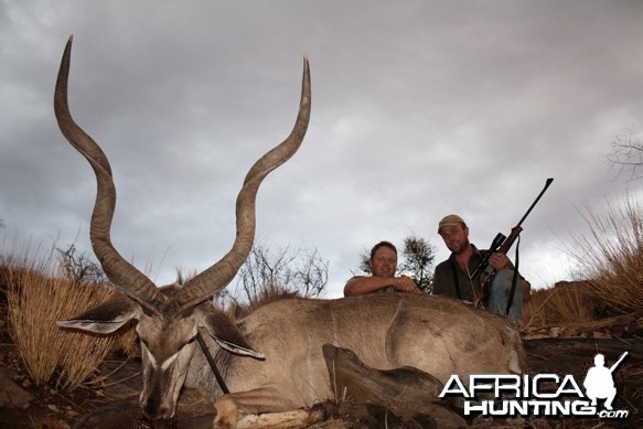 Greater Kudu Namibia