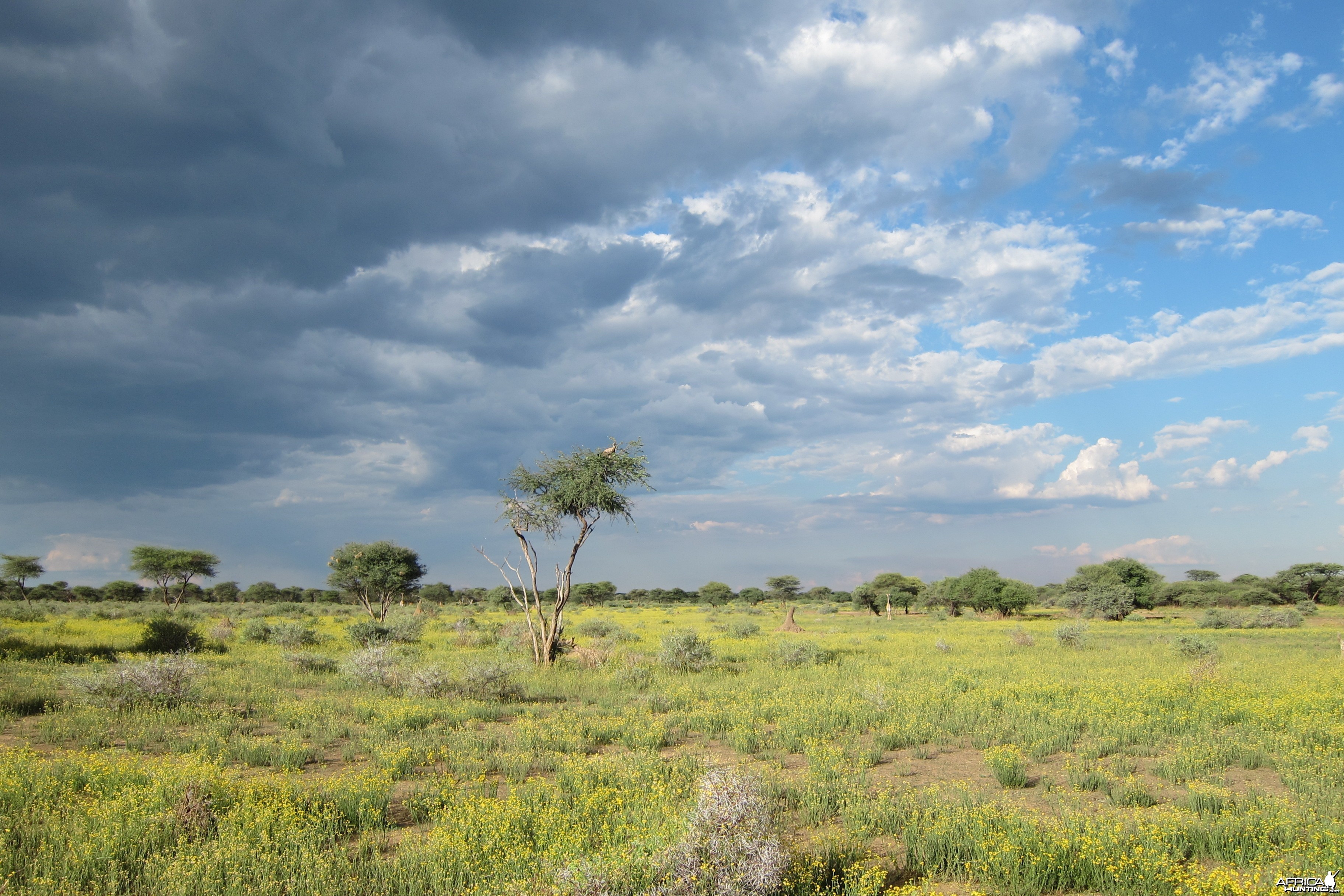 Namibia