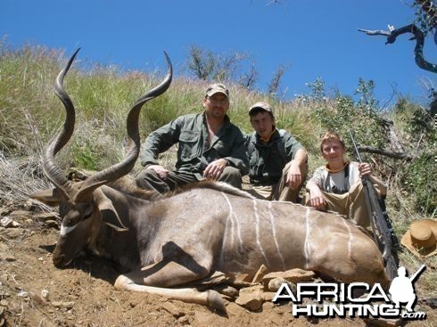 Greater Kudu