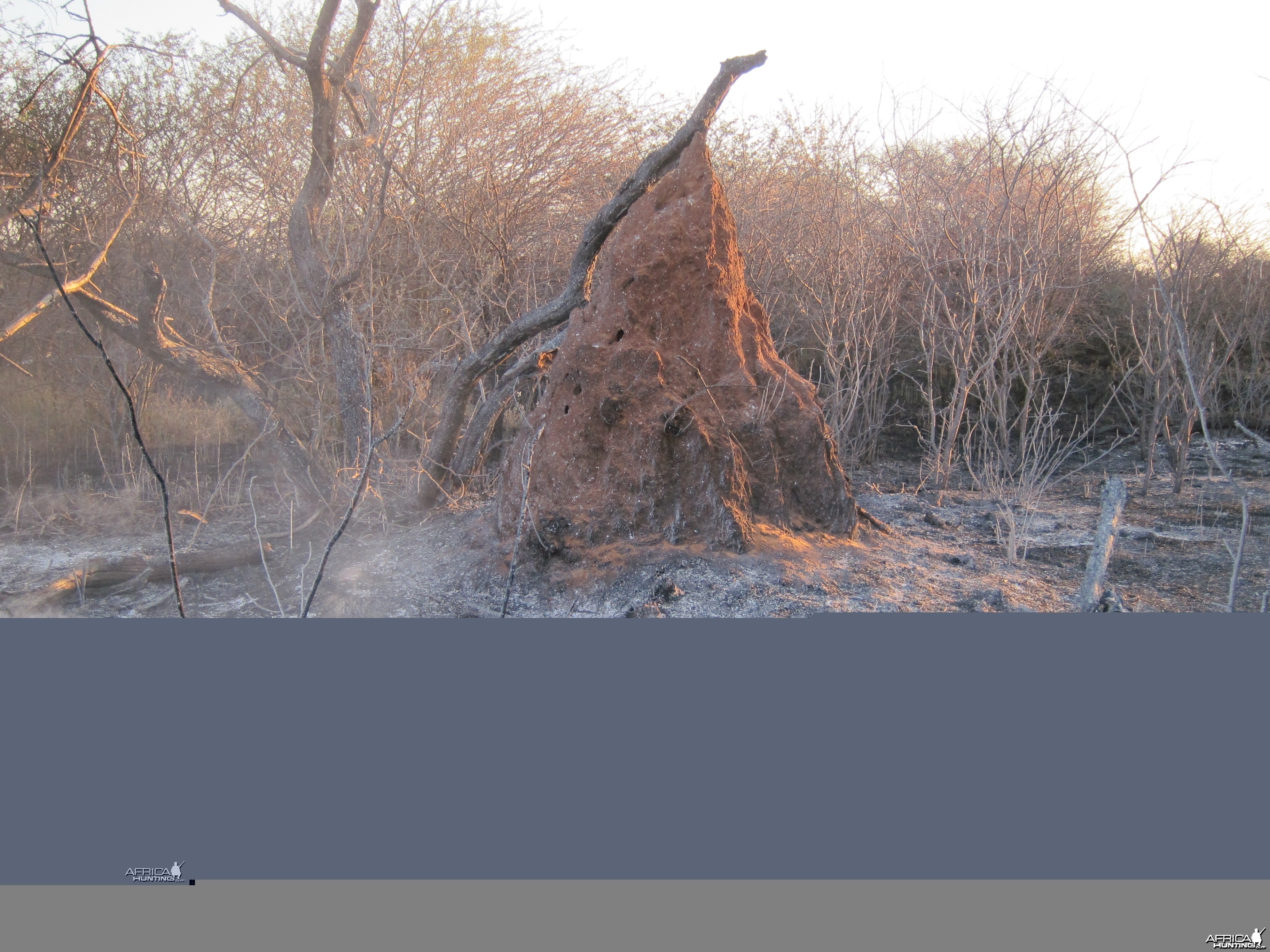 Controlled Bush Fire Namibia