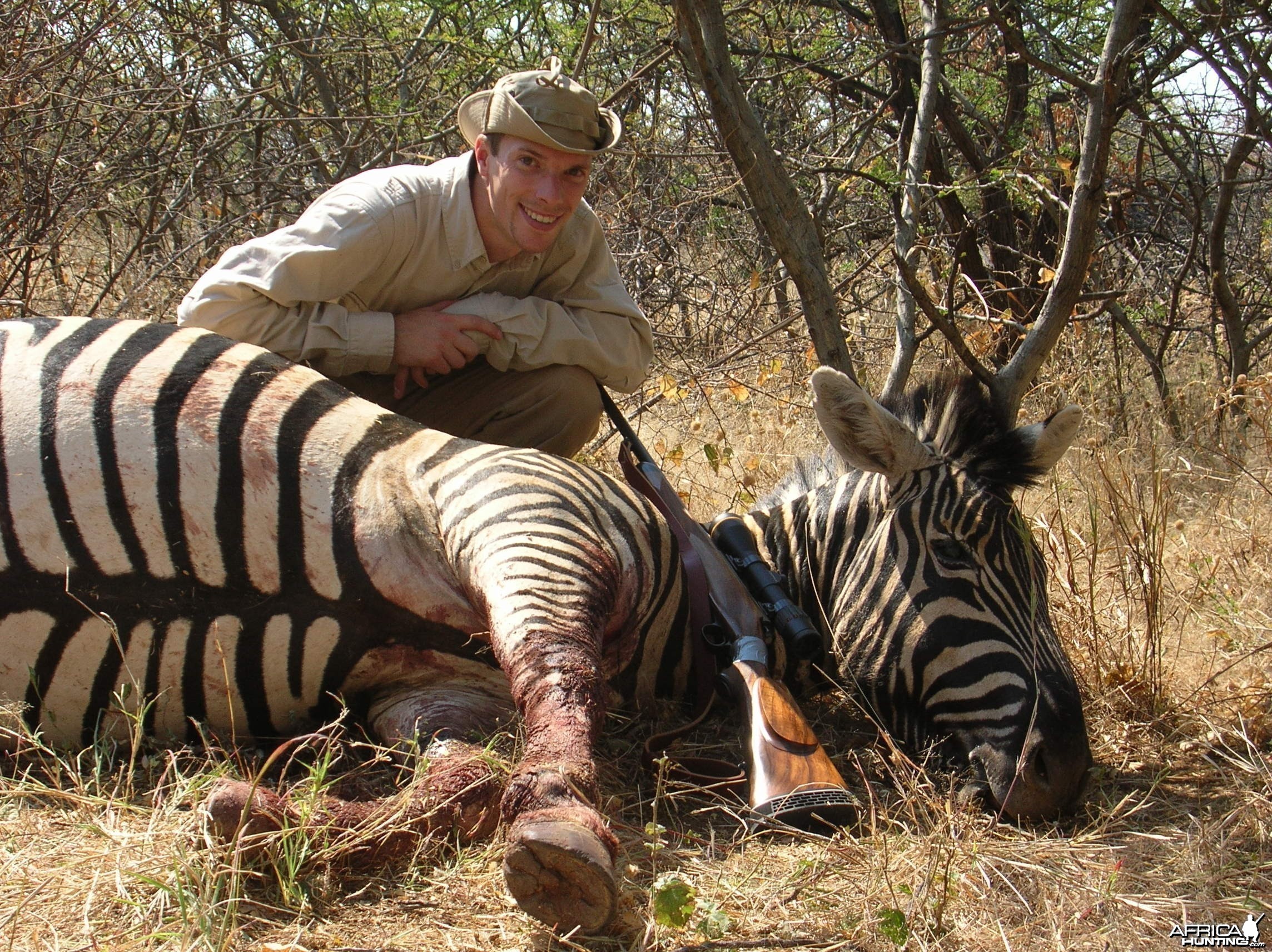 Burchell Zebra Hunting in Namibia