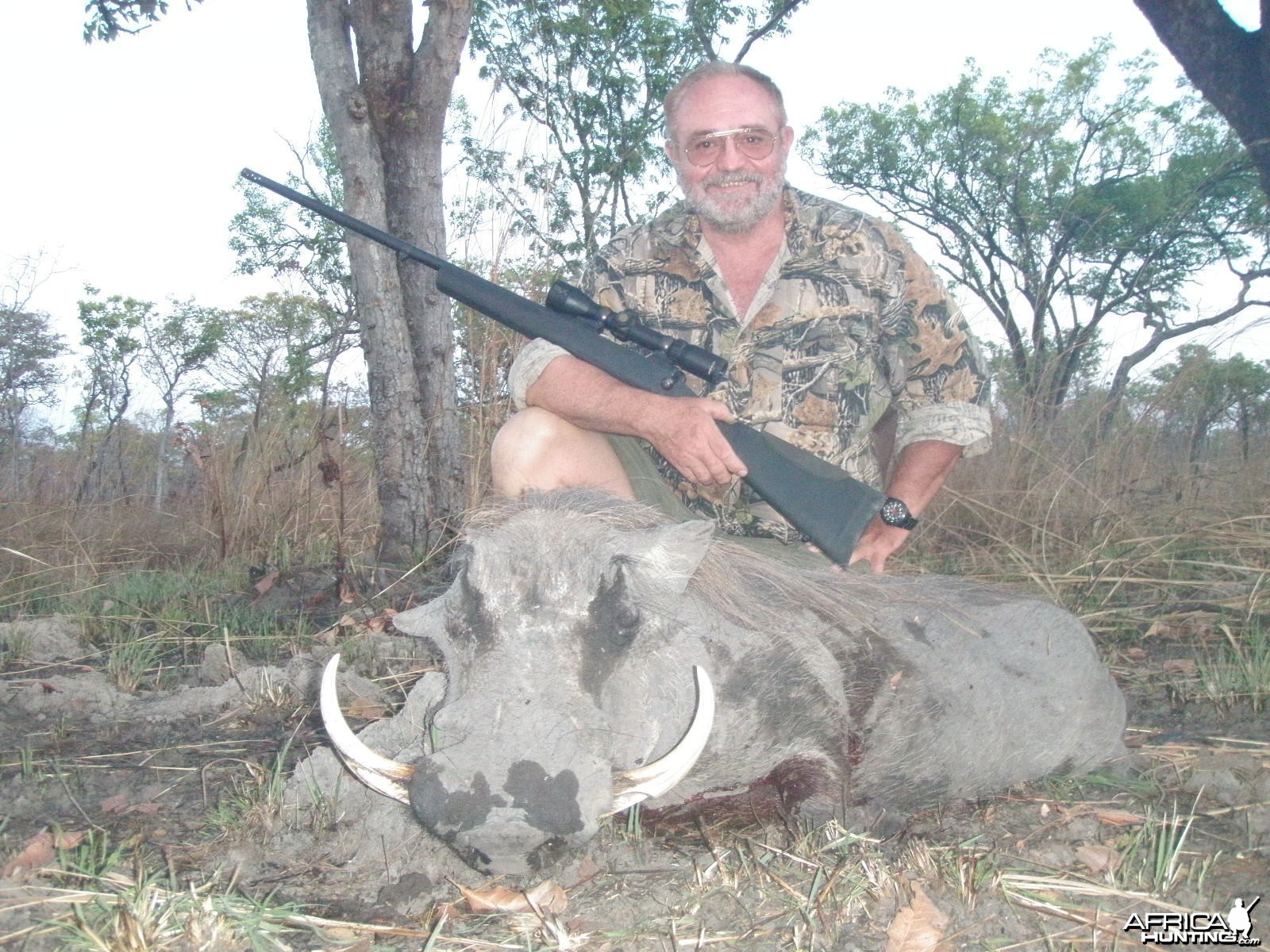 Warthog Mozambique