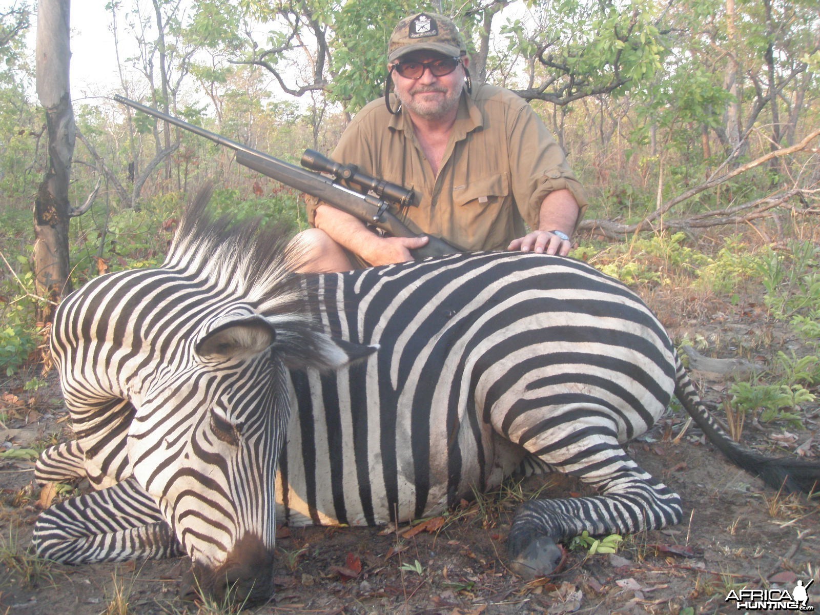 Zebra Mozambique