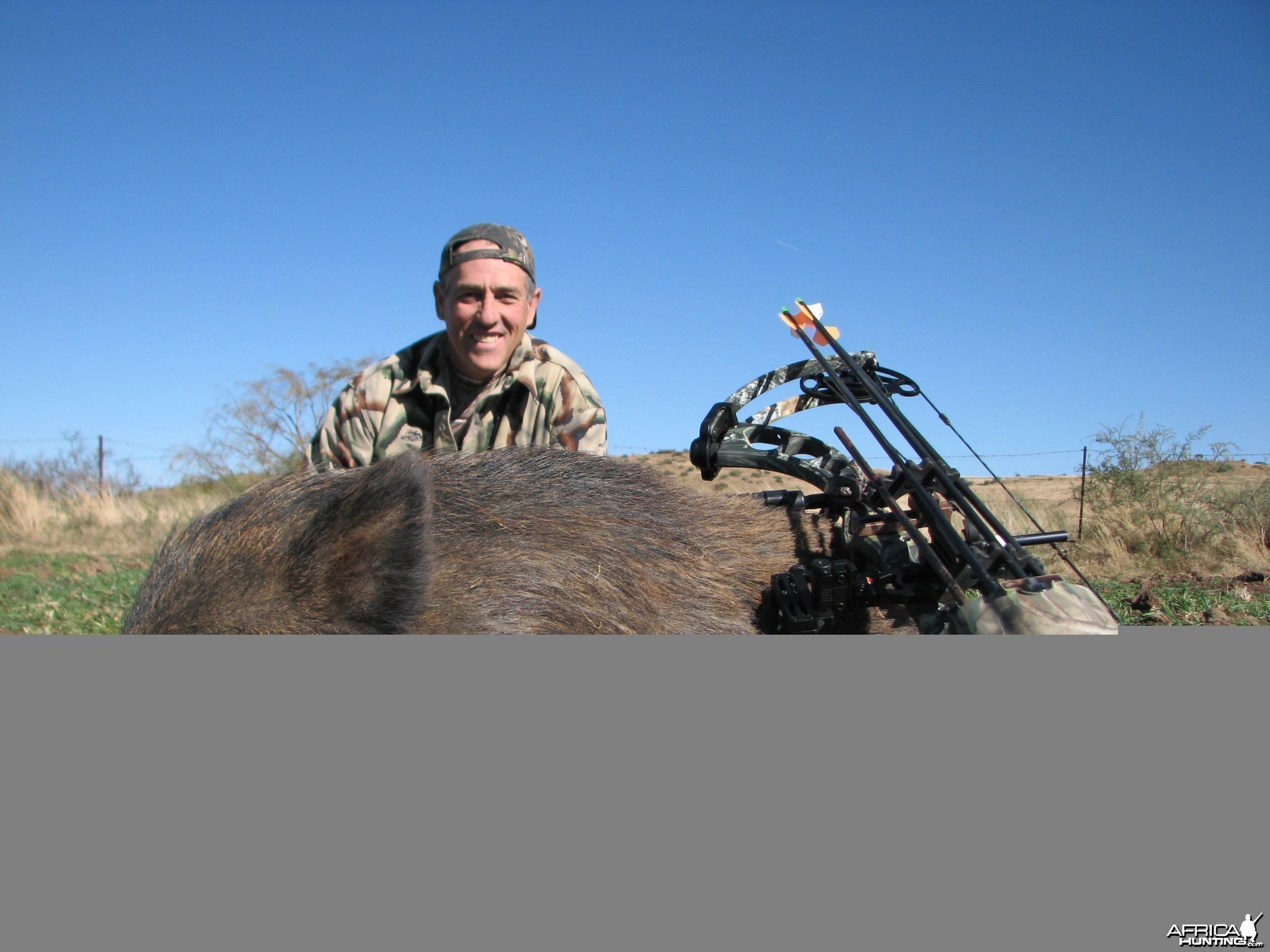 East Cape Feral Boar