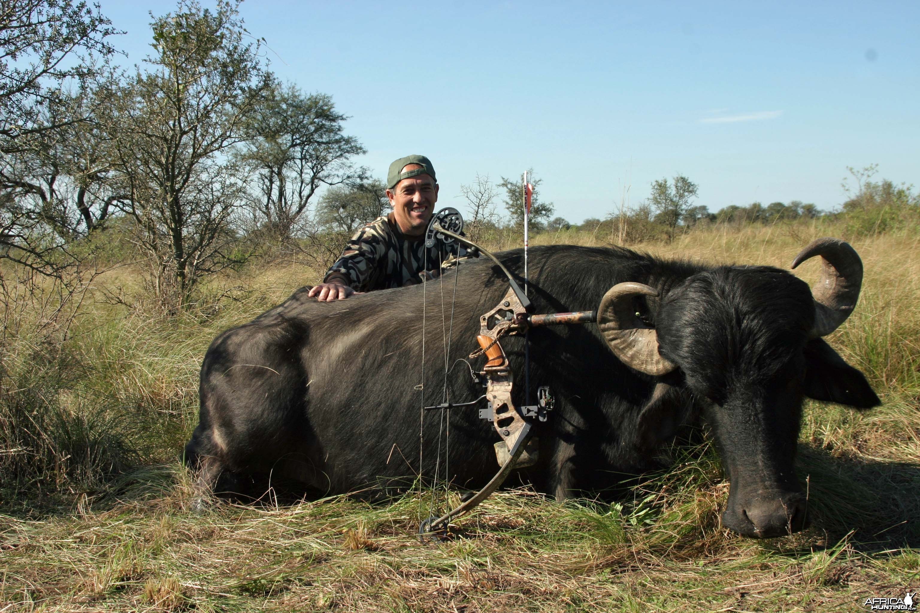 Water Buffalo-Argentina