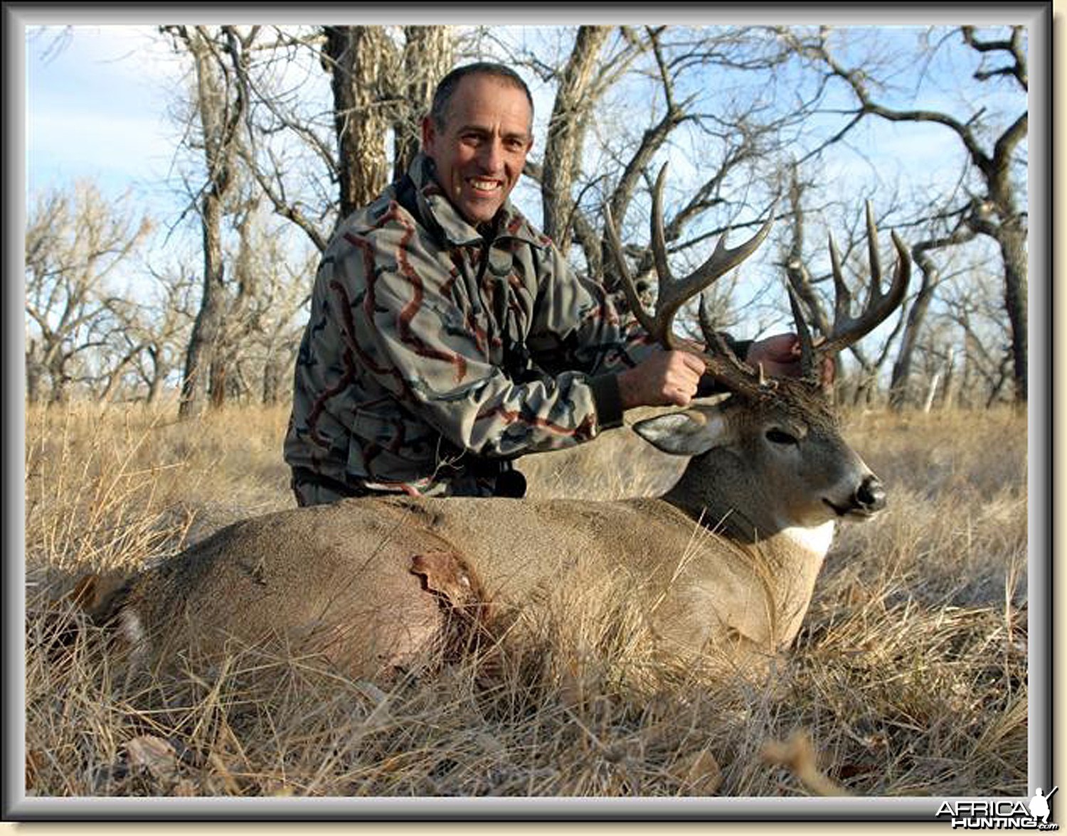 Wyoming White-tailed deer