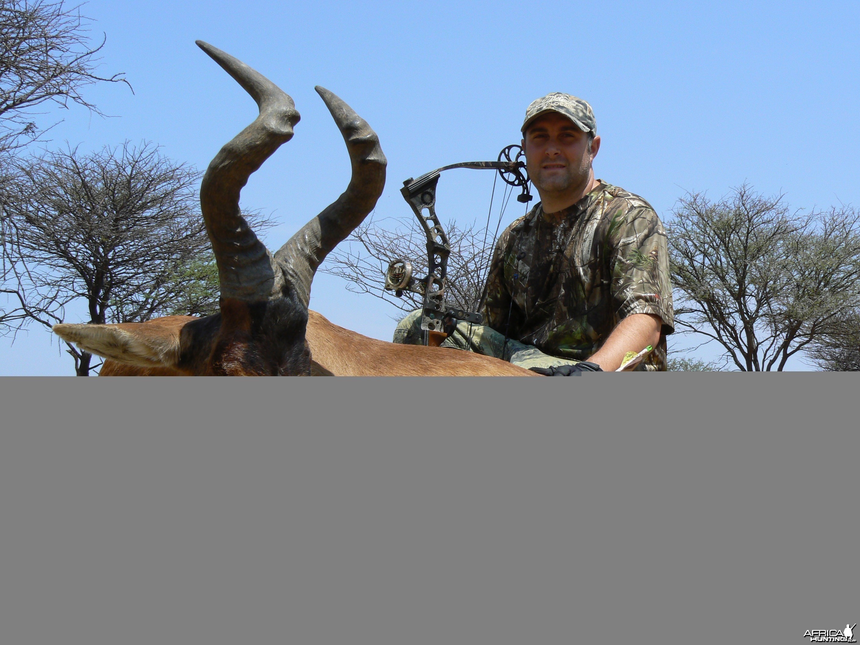 Bowhunting Red Hartebeest in Namibia