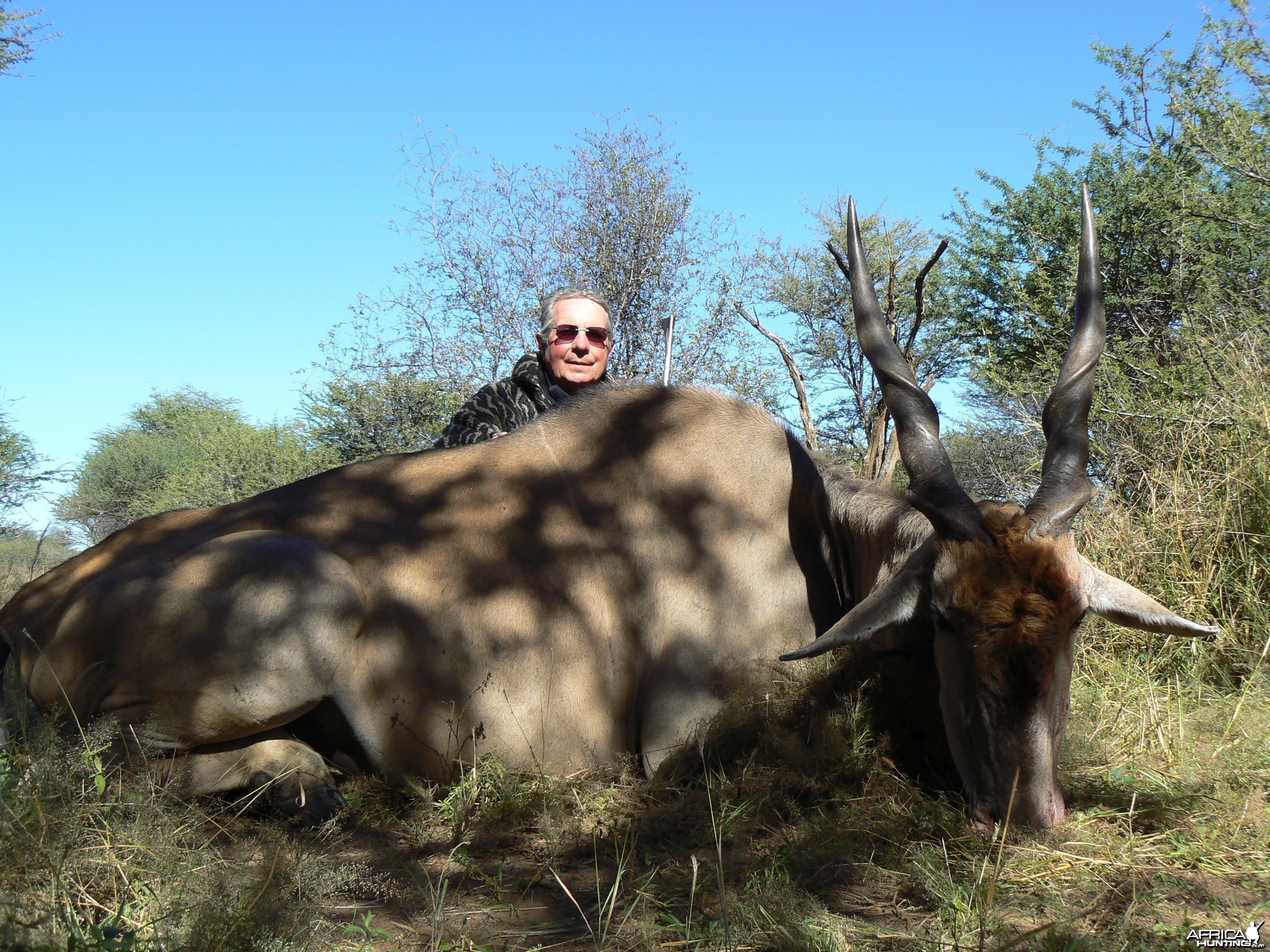 Hunting Cape Eland in Namibia