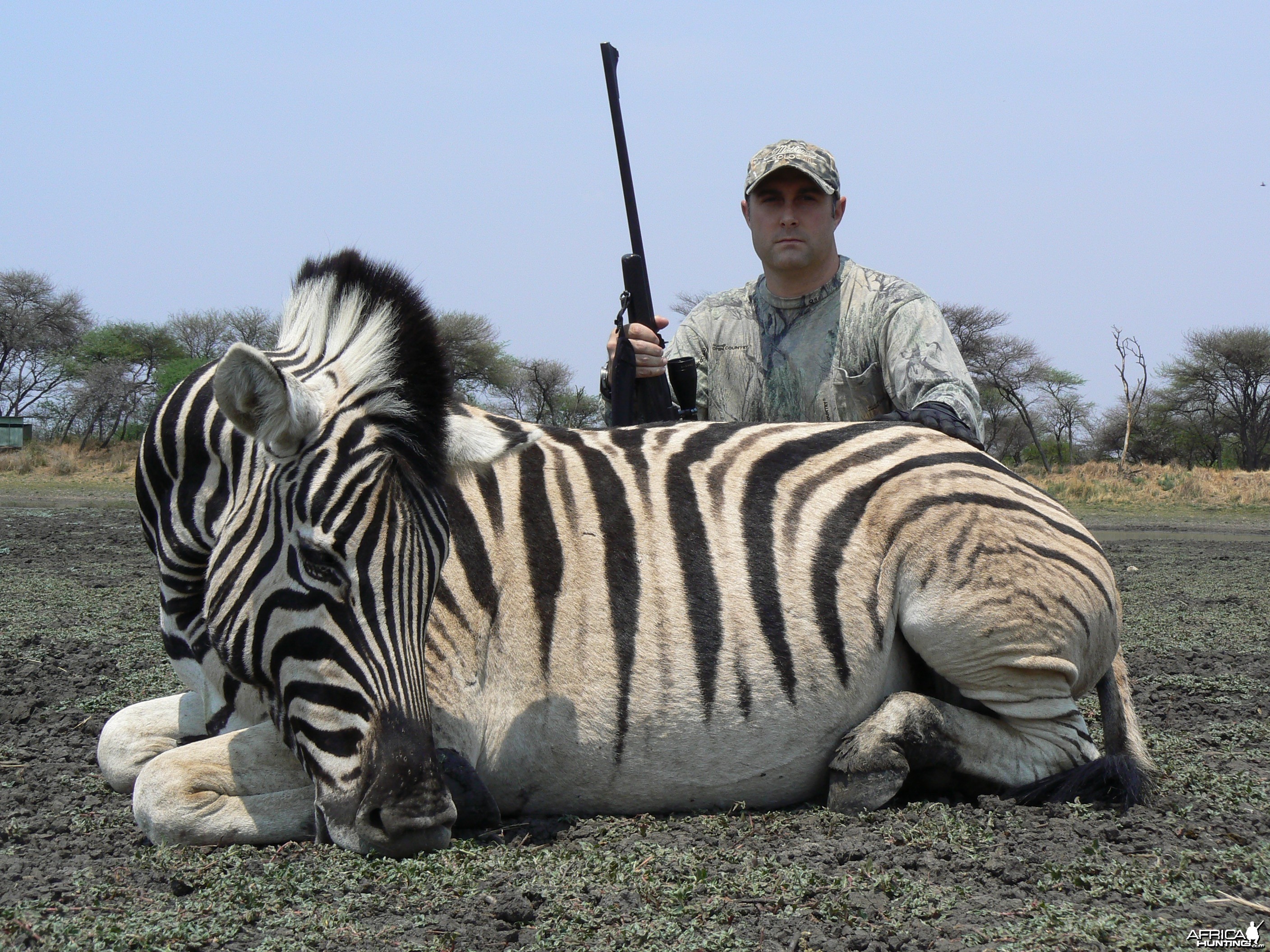 Hunting Burchell's Plain Zebra in Namibia