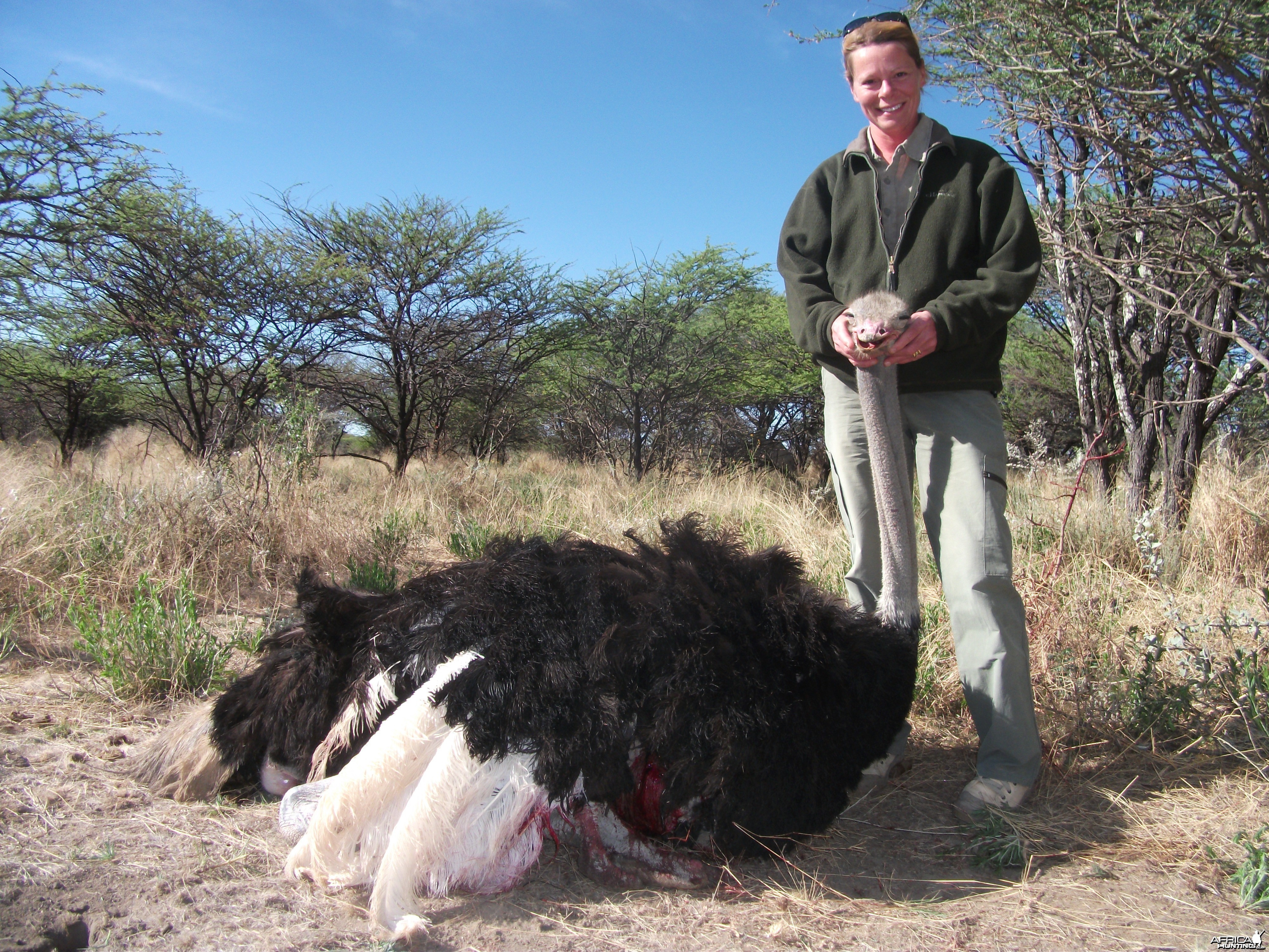 Hunting Ostrich in Namibia