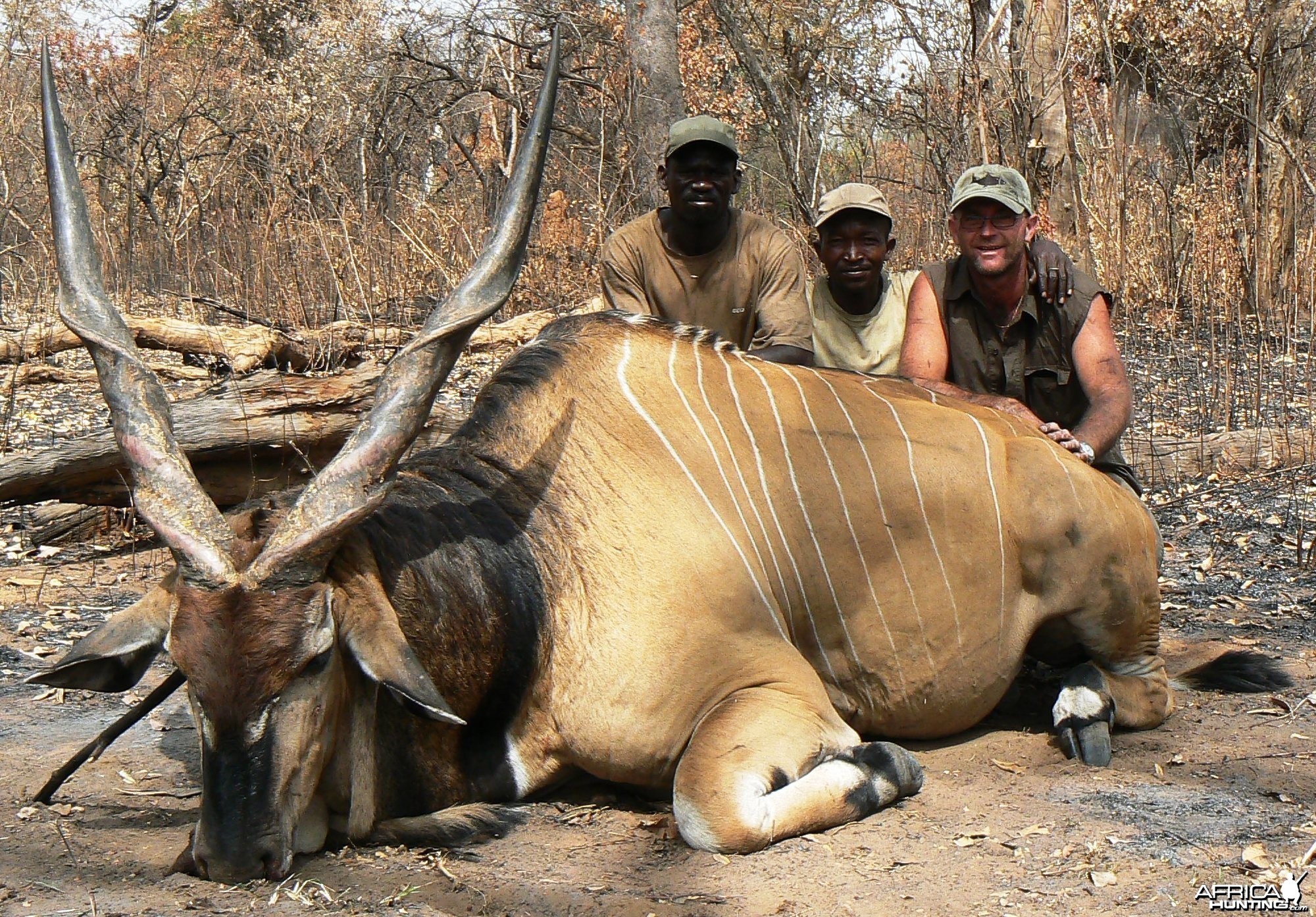 Hunting Giant Eland in CAR