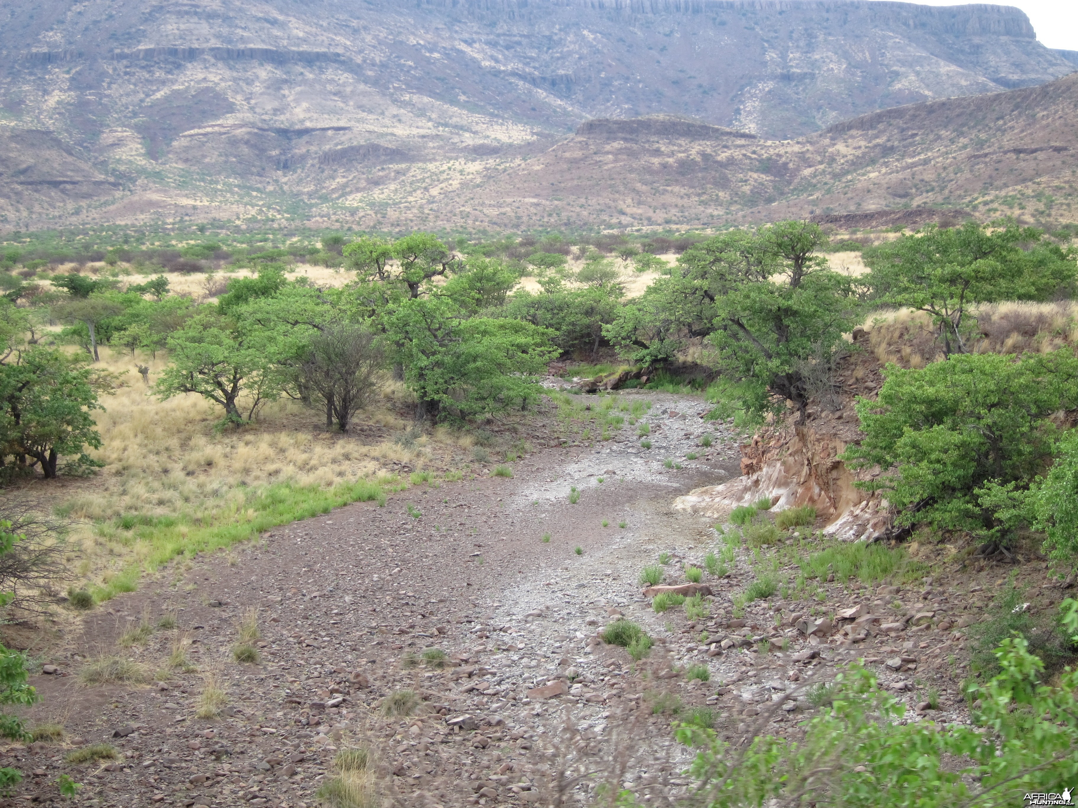 Damaraland Namibia