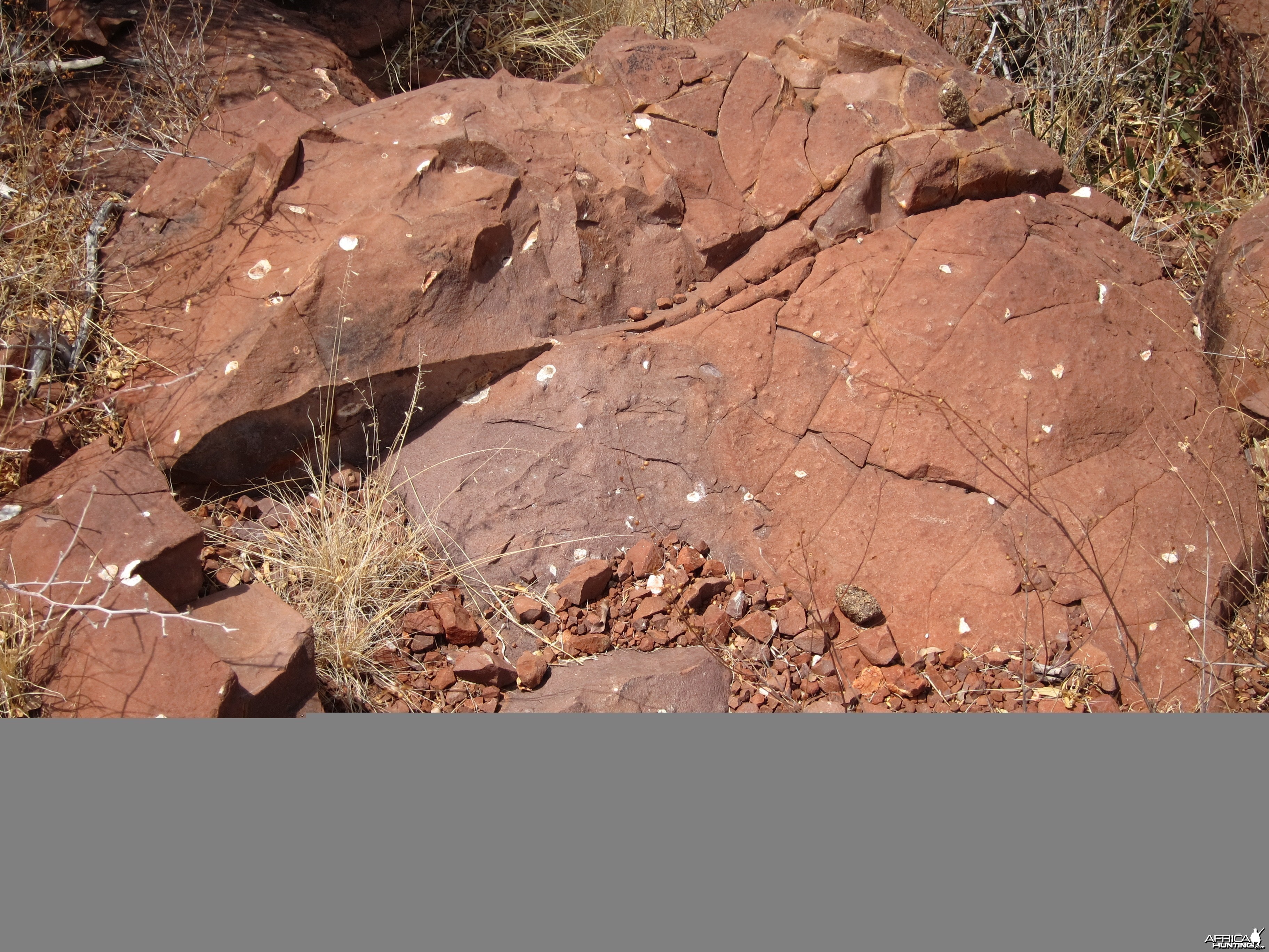 Damaraland Namibia