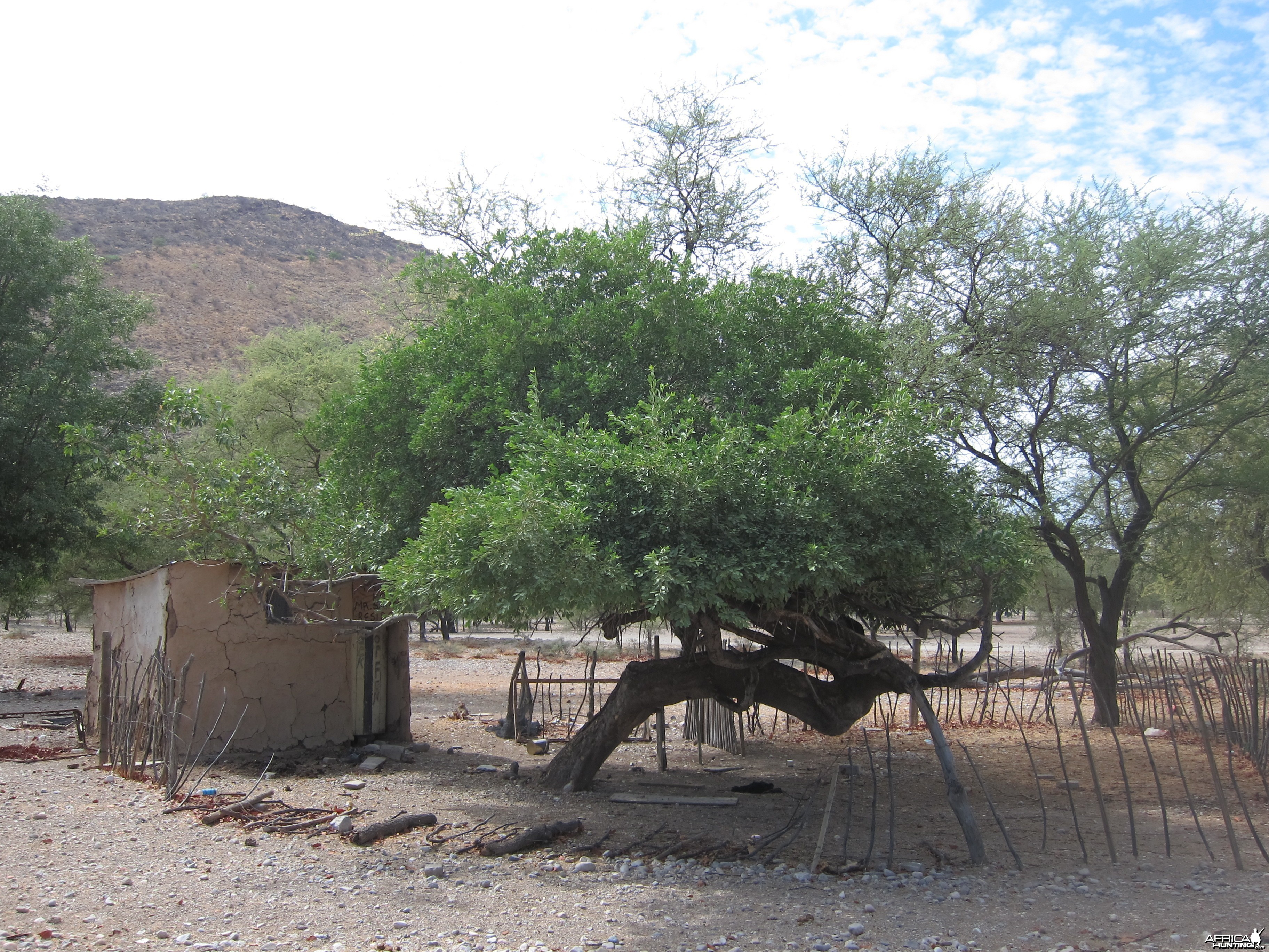 Damaraland Namibia