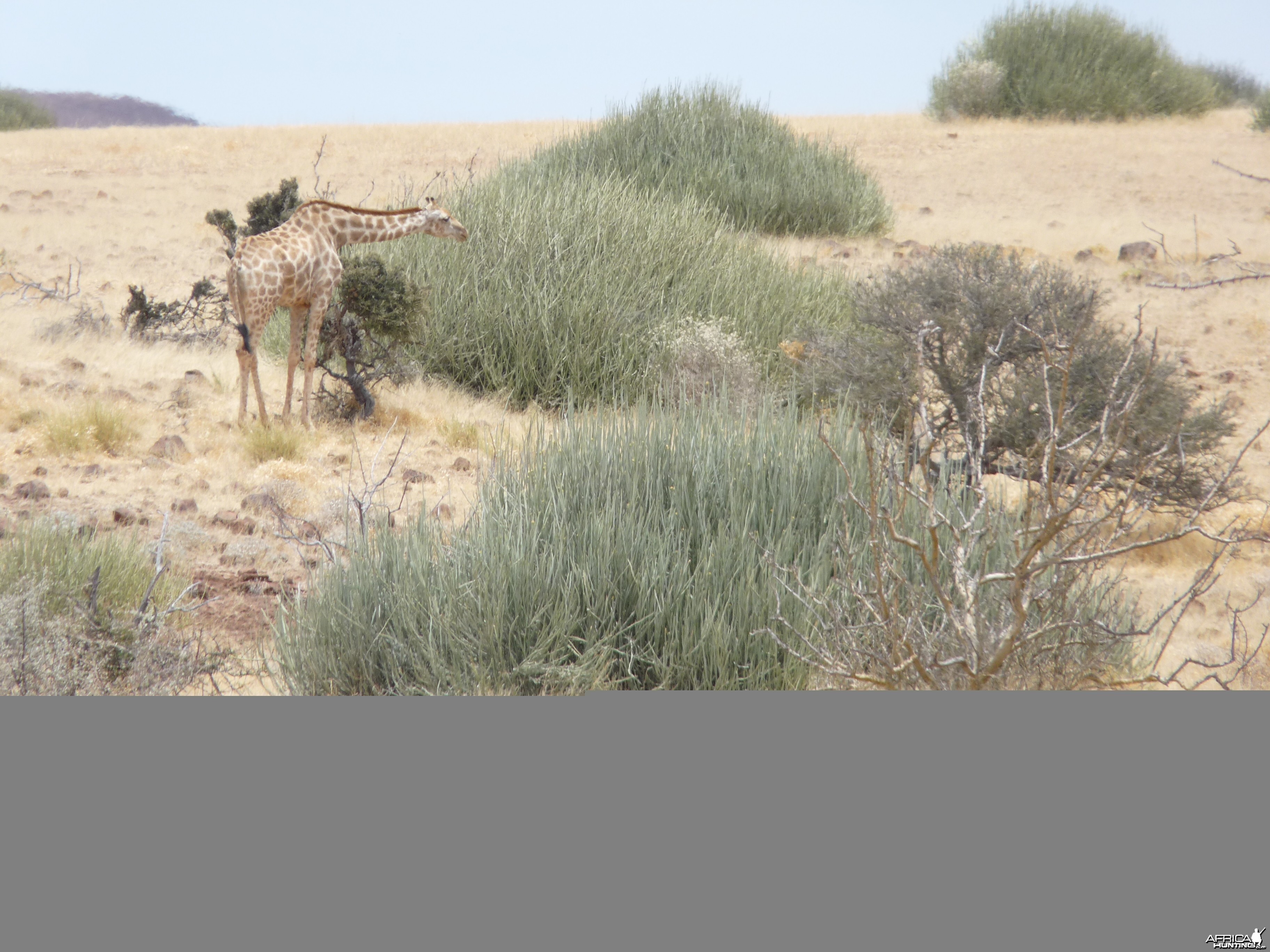 Damaraland Namibia