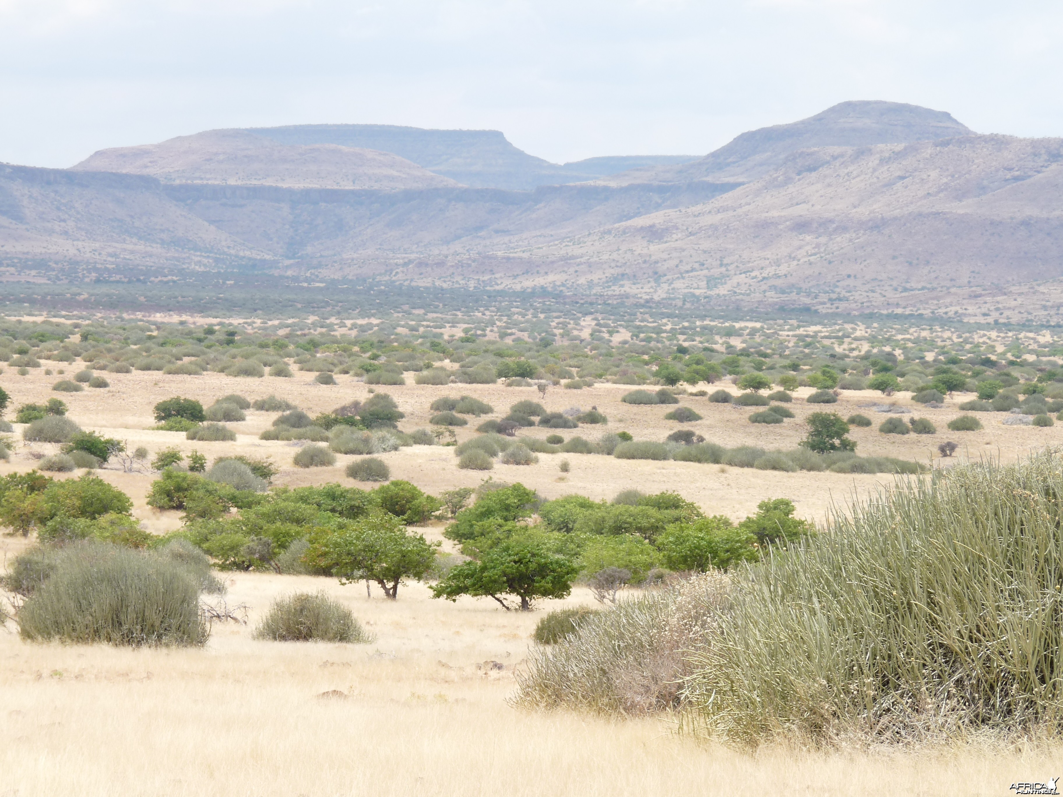 Damaraland Namibia