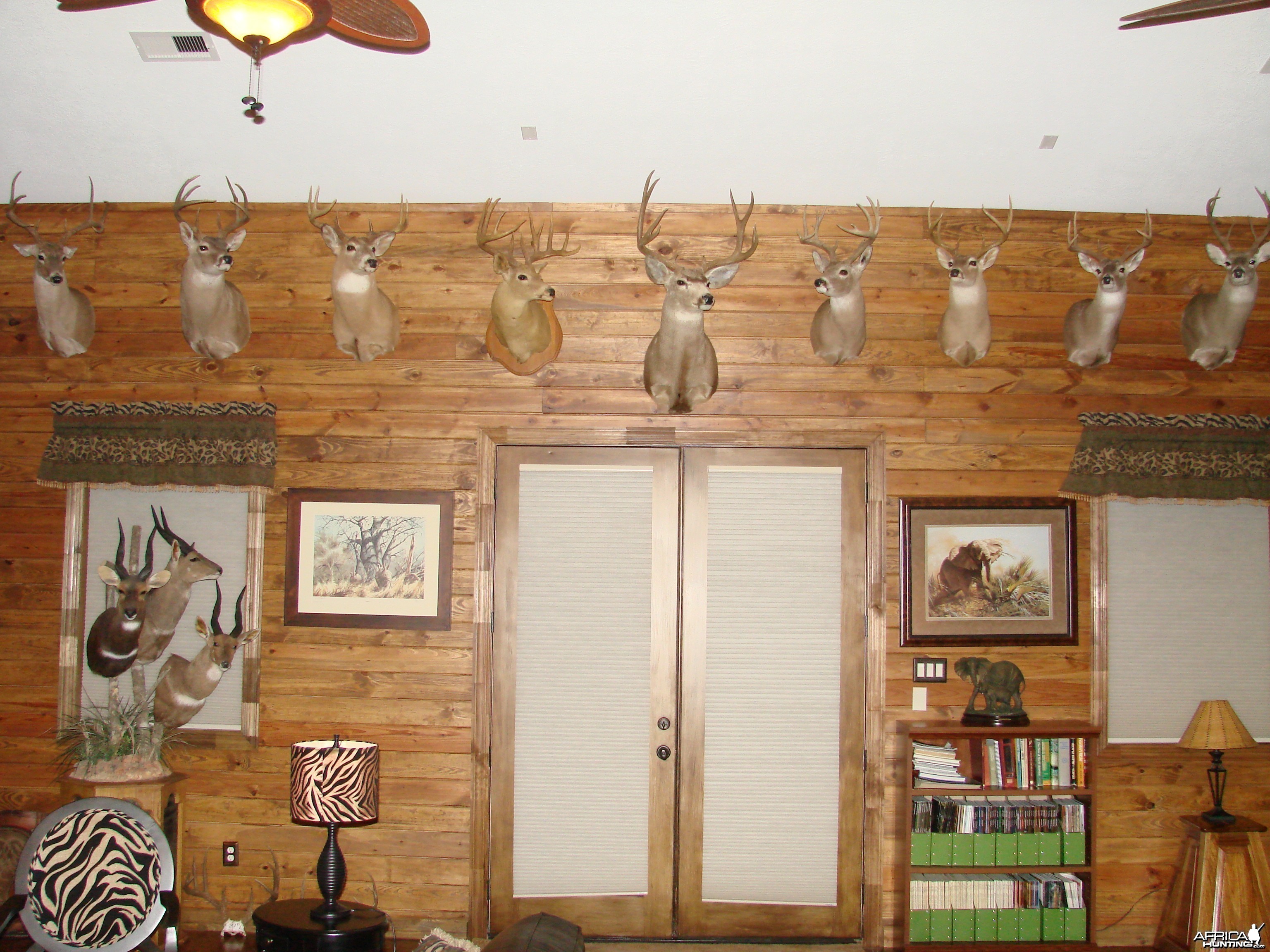 Trophy Room - Whitetail/Mule Deer wall