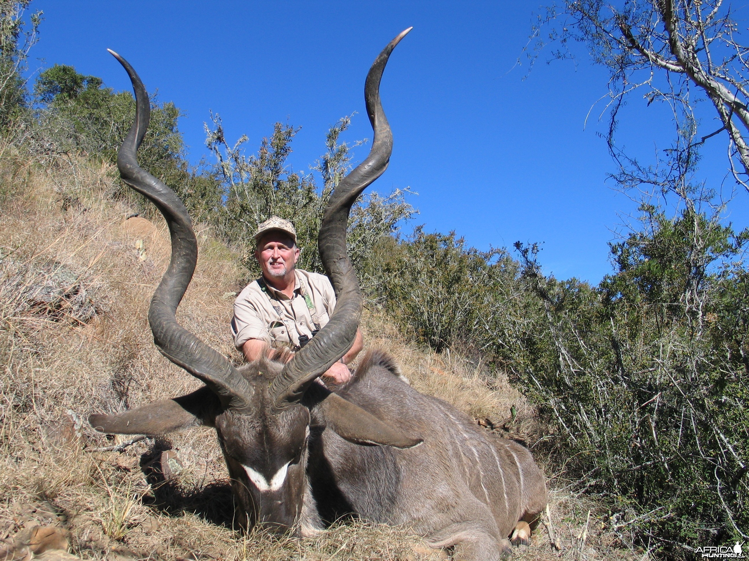 Kudu East Cape, SA 2004