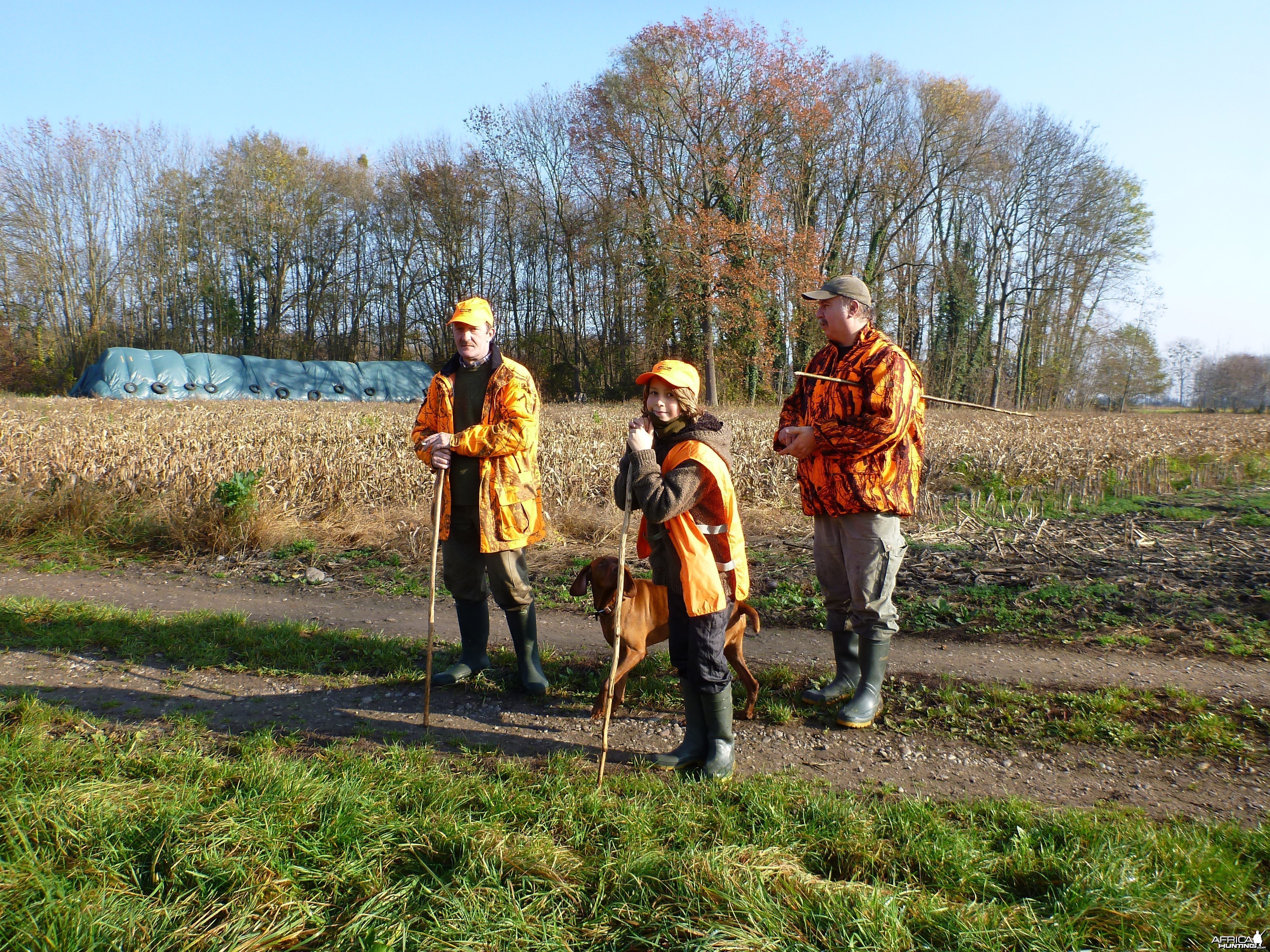 Hunting in France