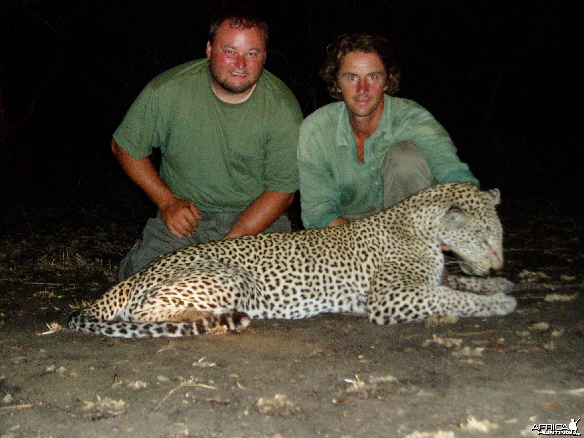 Hunting Leopard Selous Tanzania