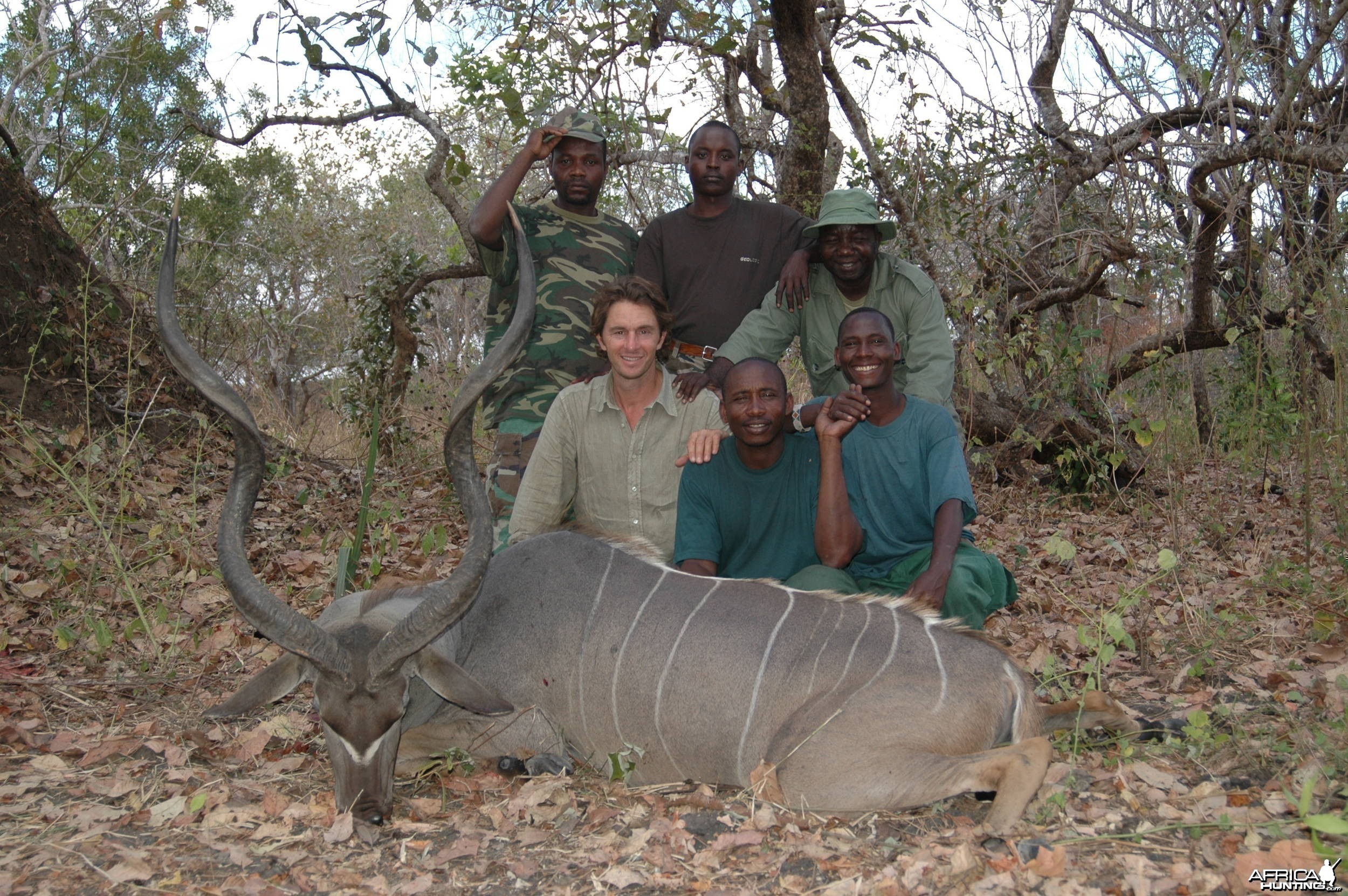 Koudou Selous Chasse Tanzanie