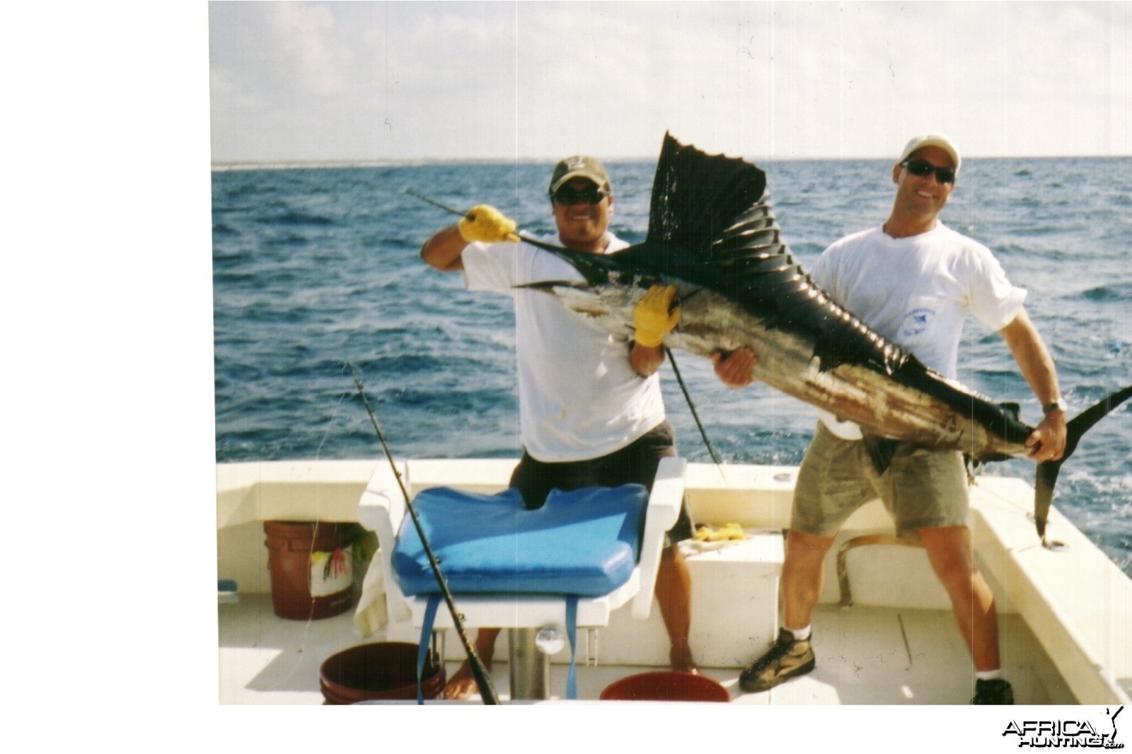 Sail Fish Mexico