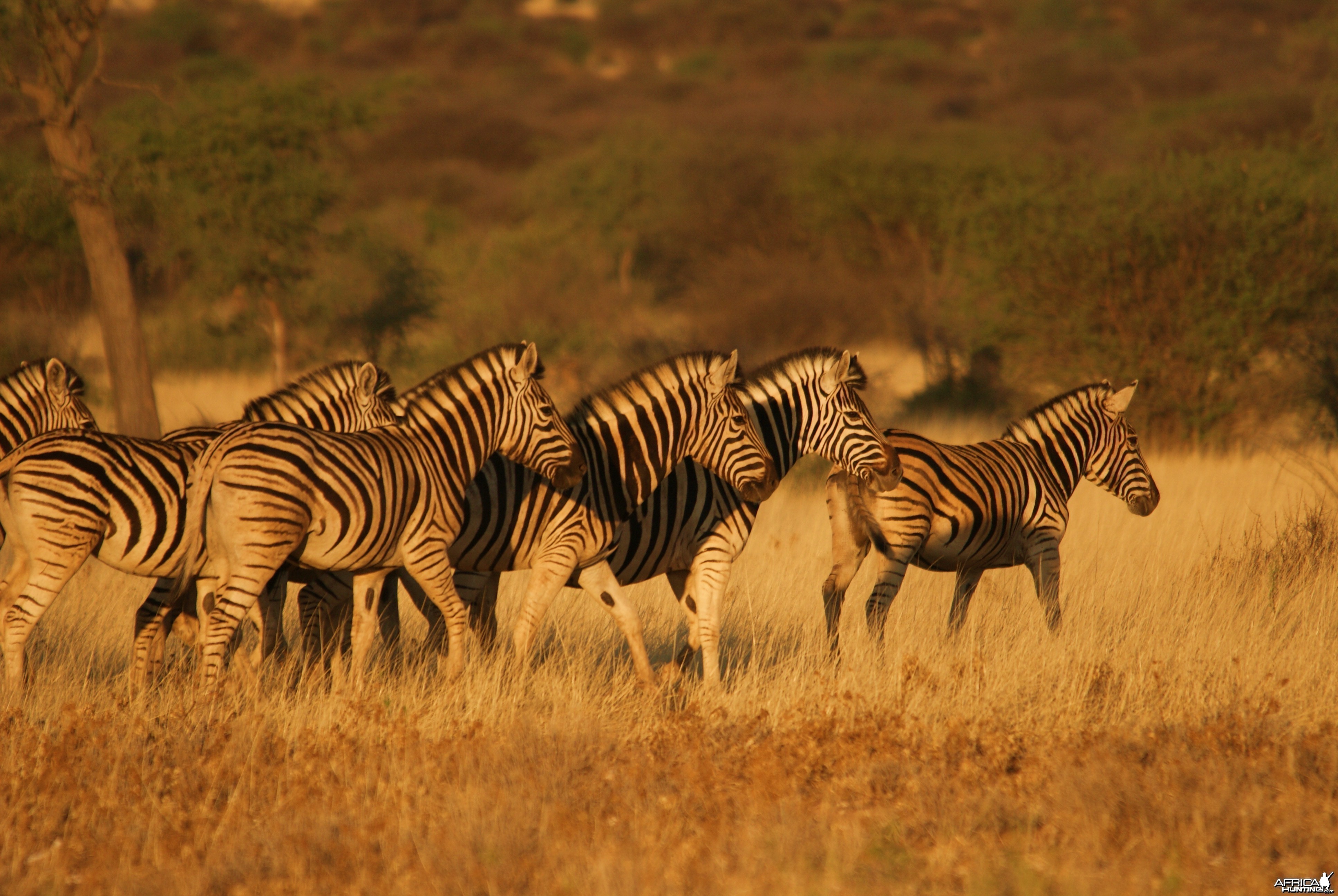 Namibia