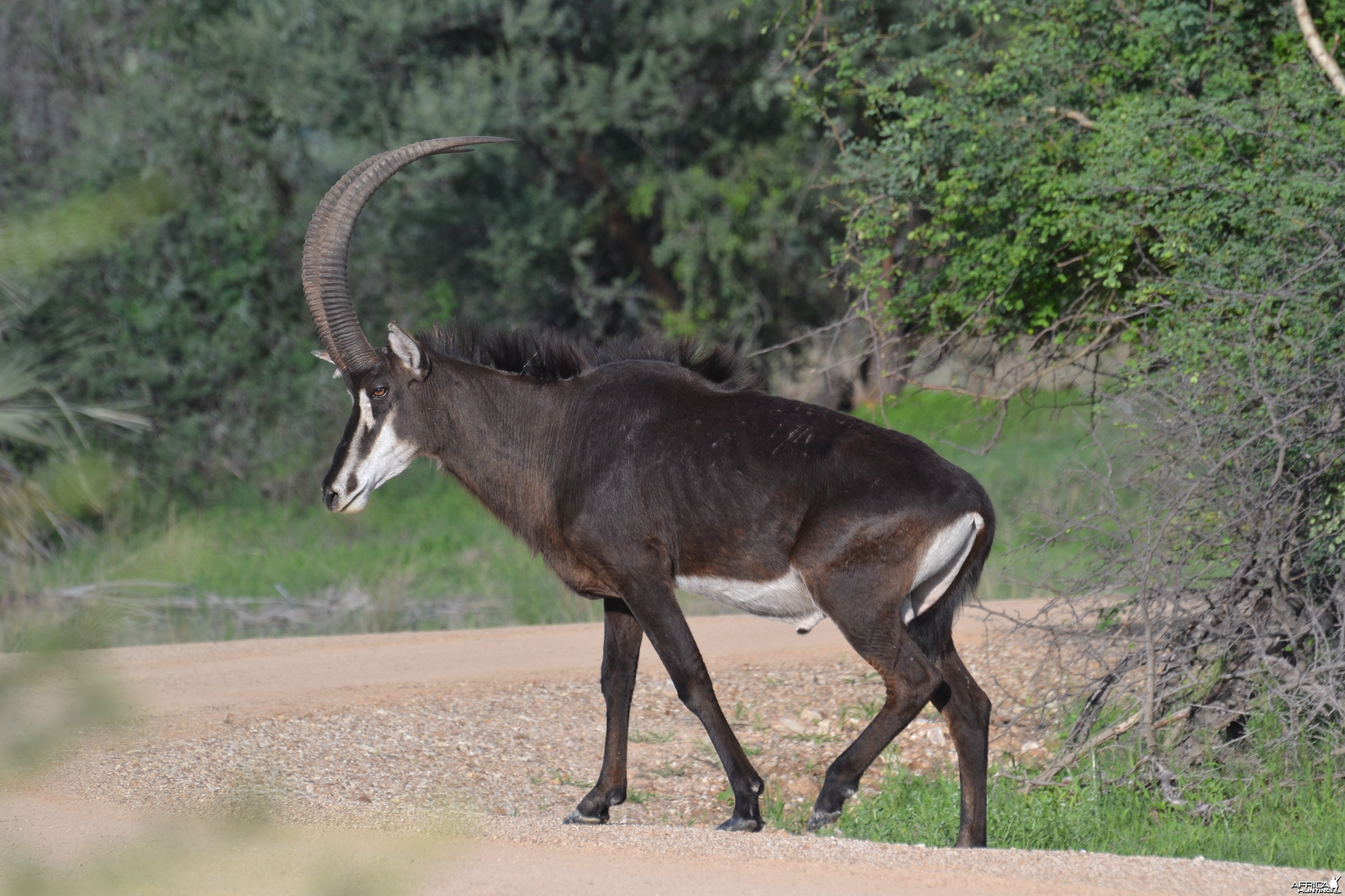 Namibia