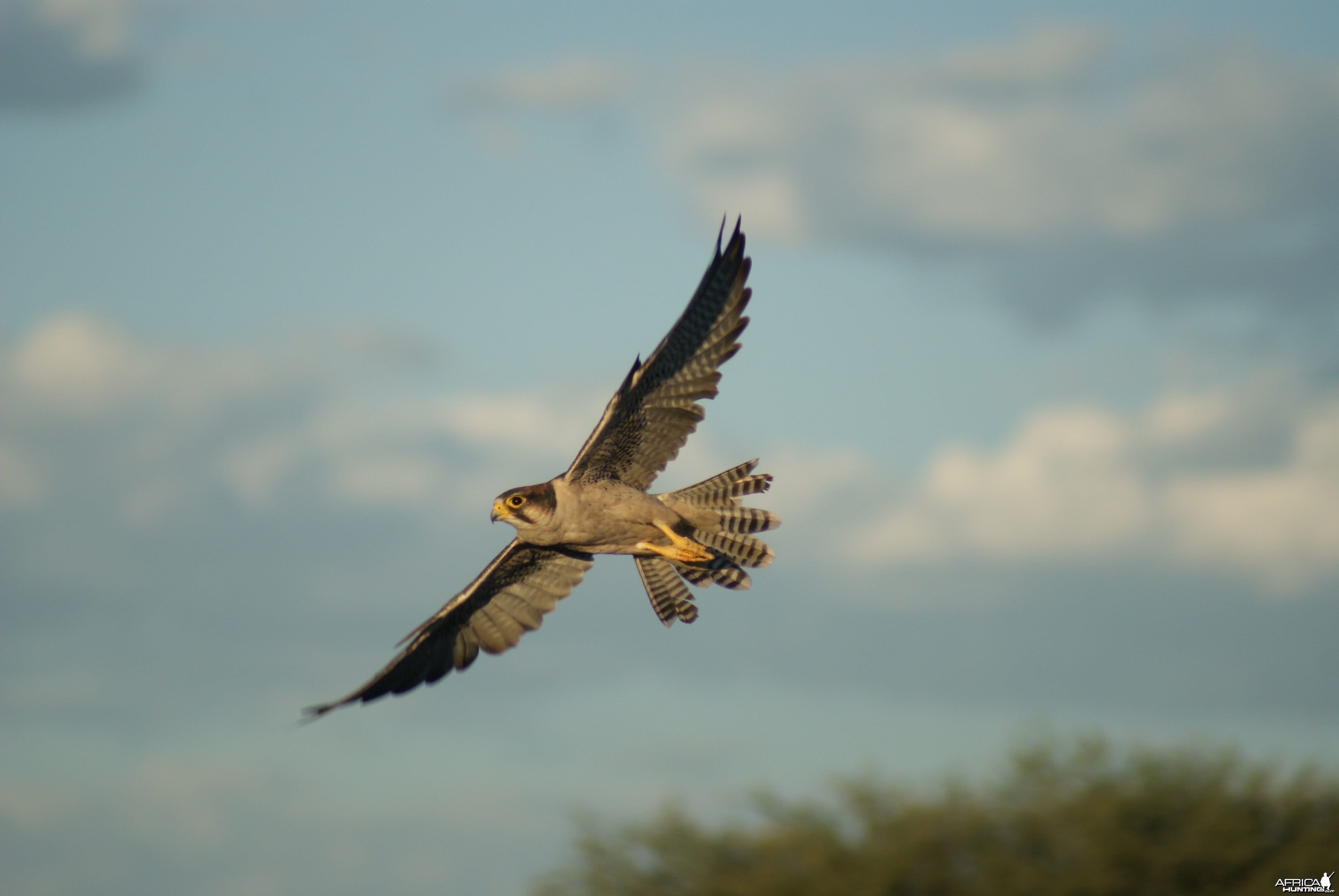 Namibia