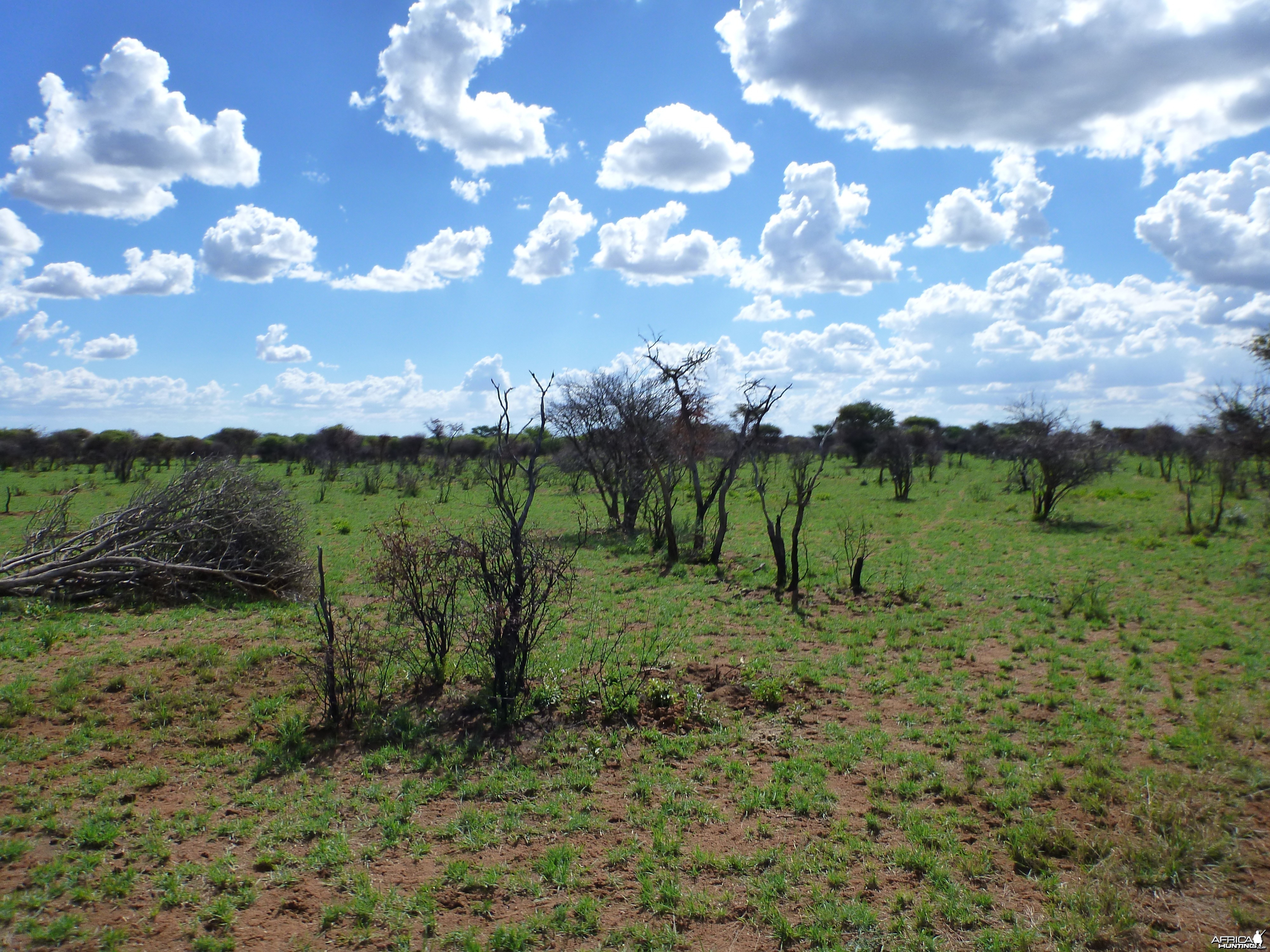 Namibia