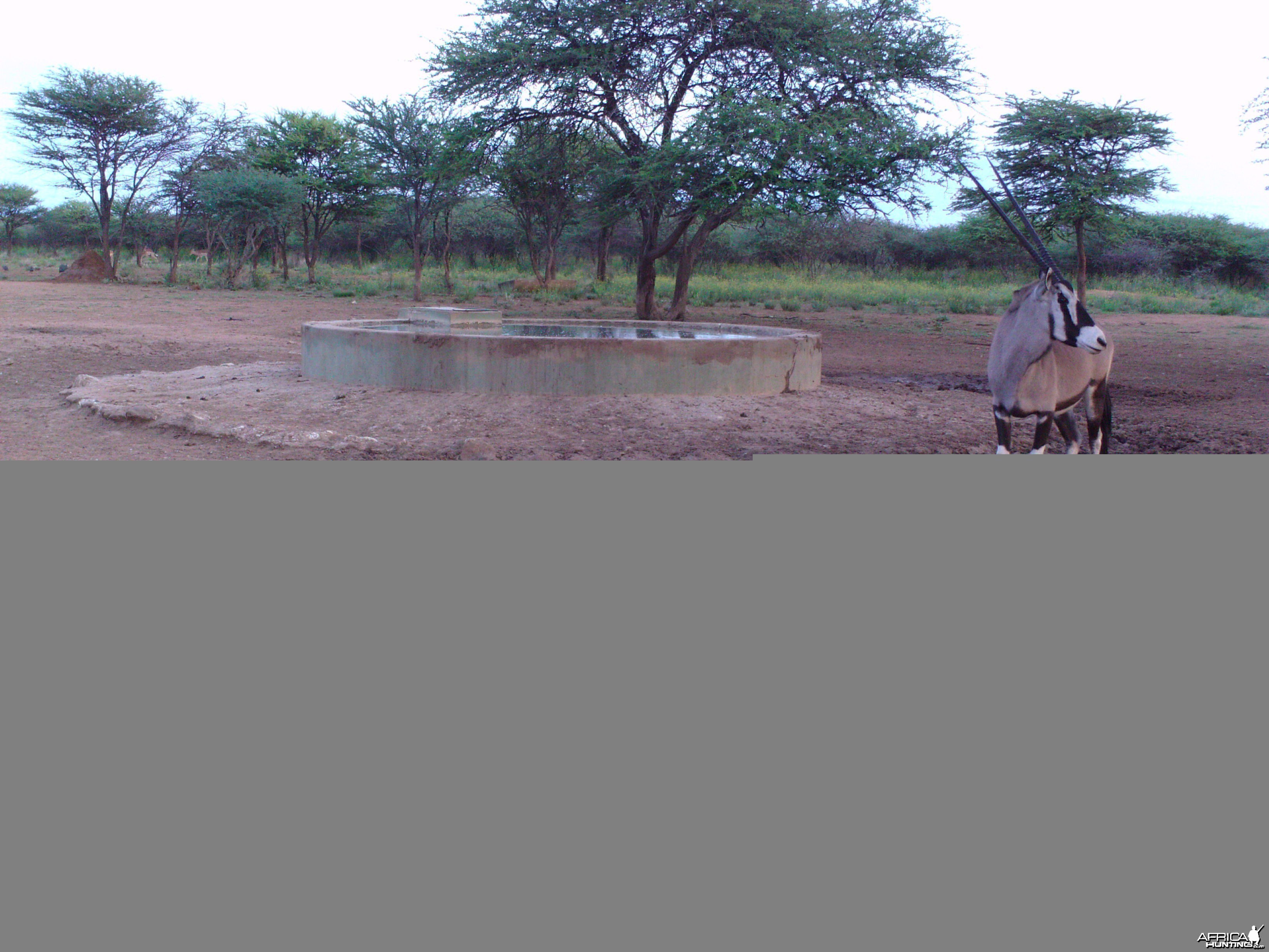 Trail Camera Namibia