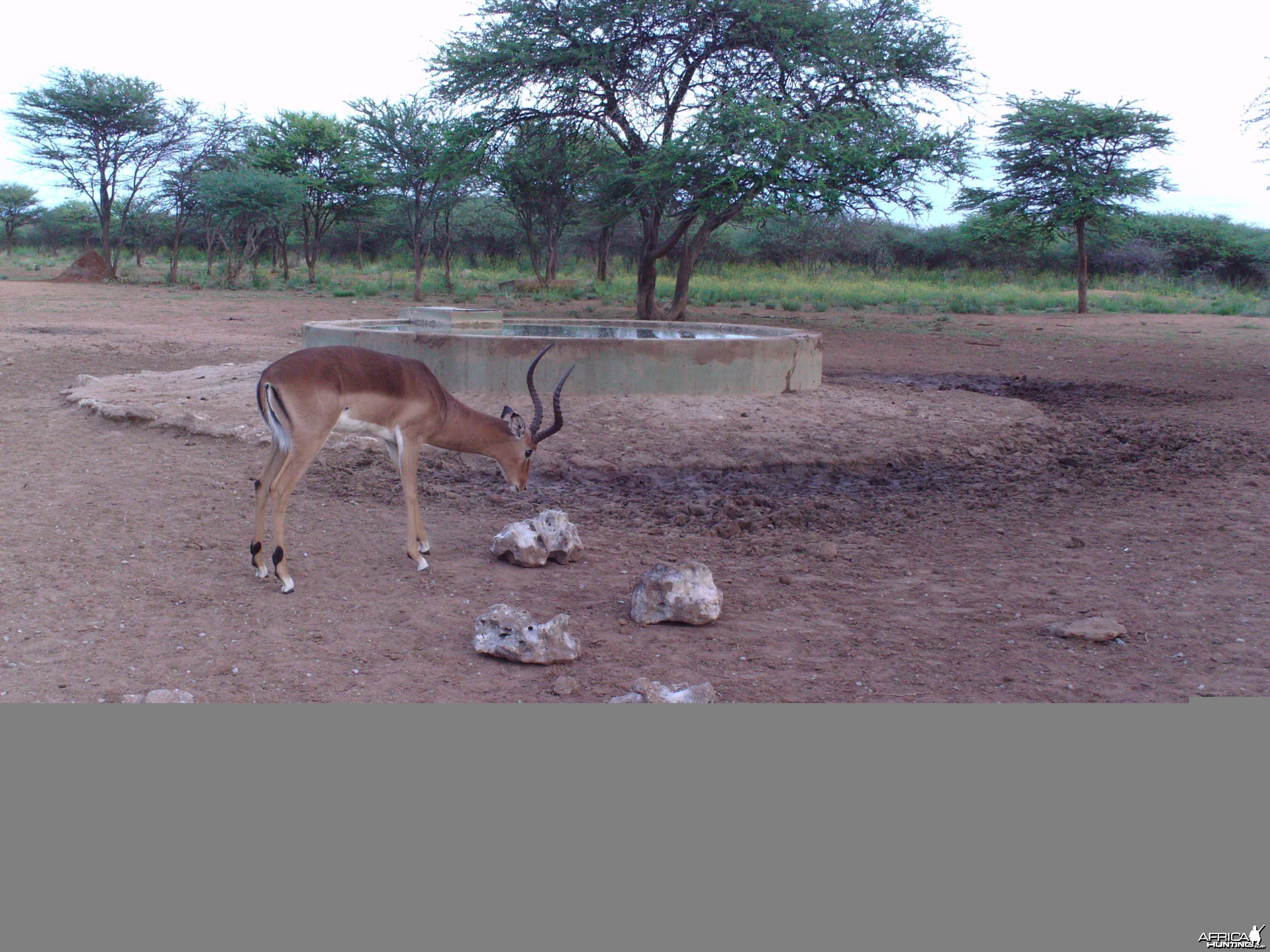 Trail Camera Namibia