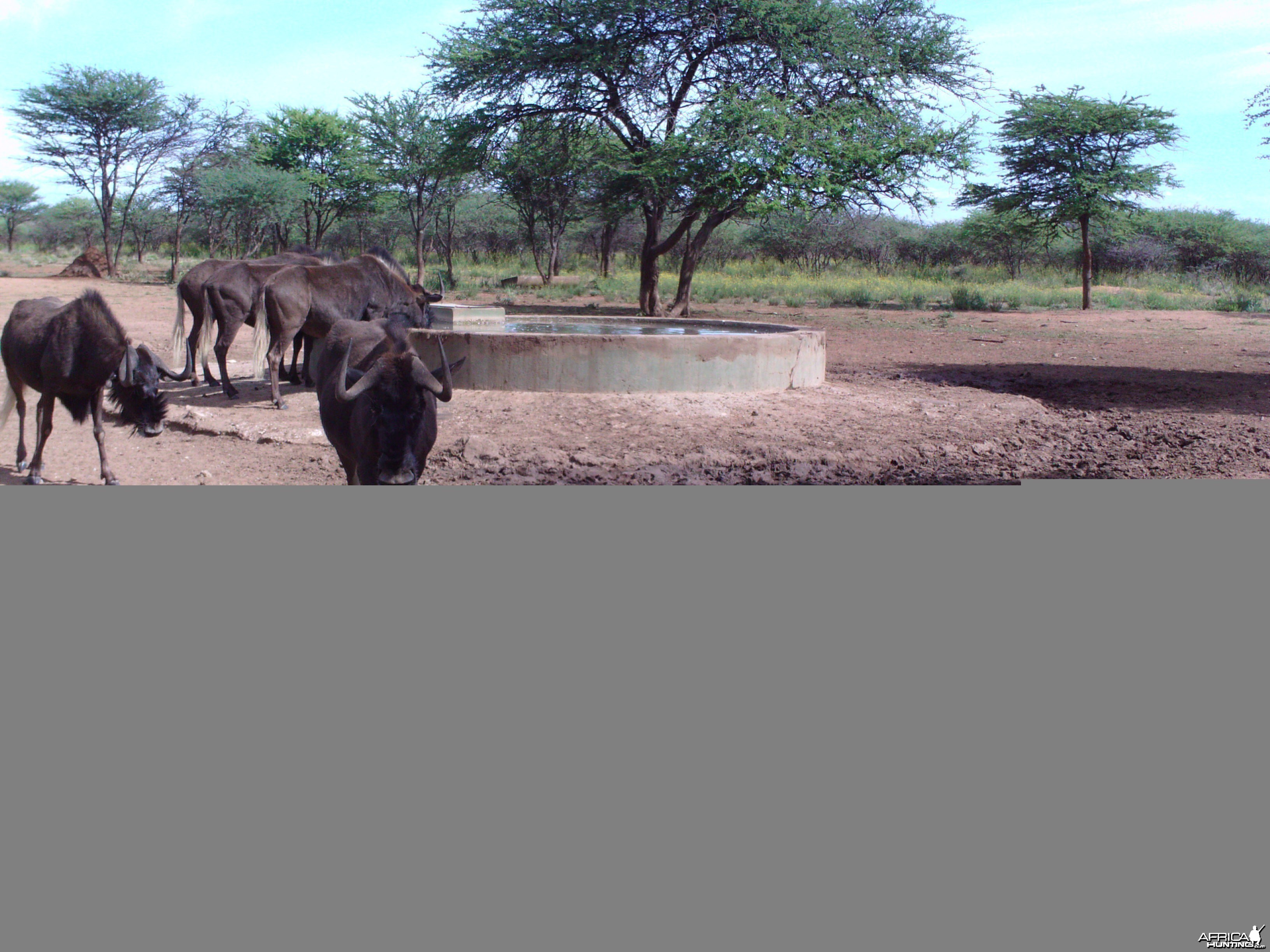 Trail Camera Namibia