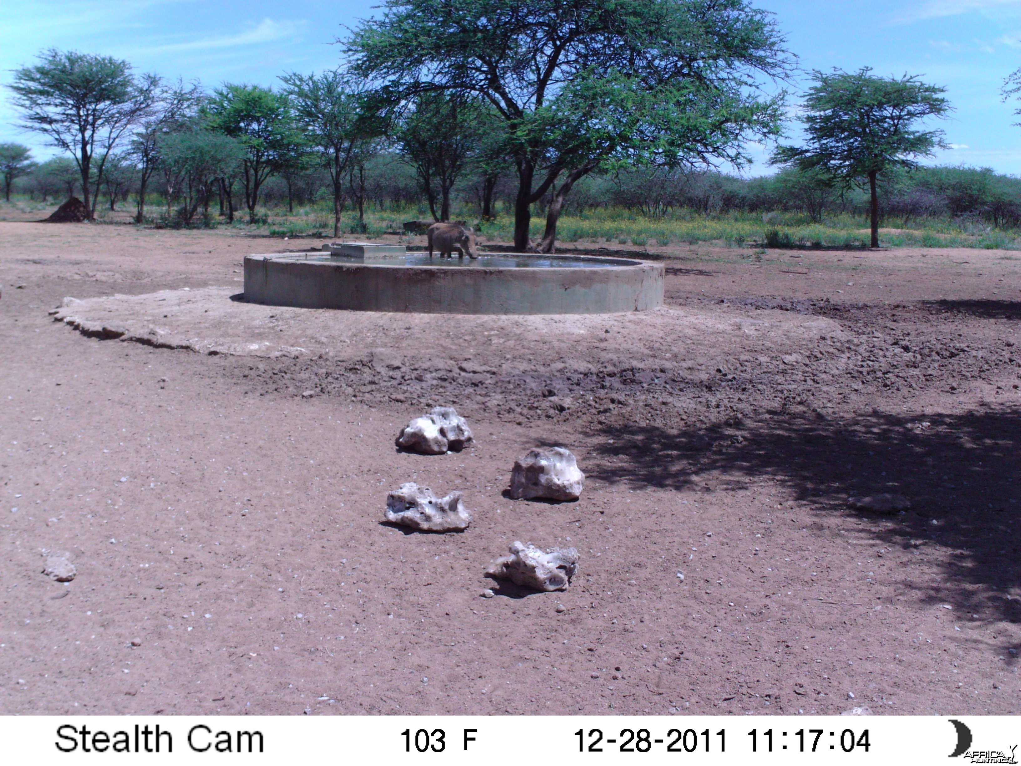 Trail Camera Namibia