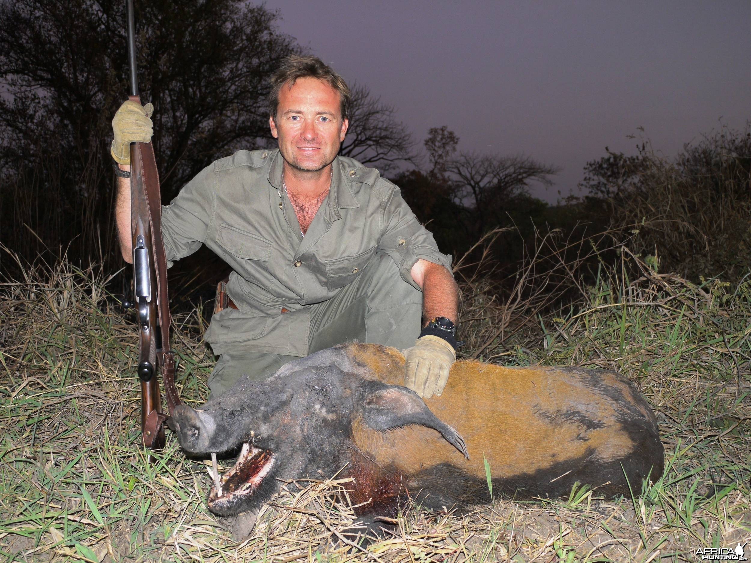 Red river hog hunting in CAR