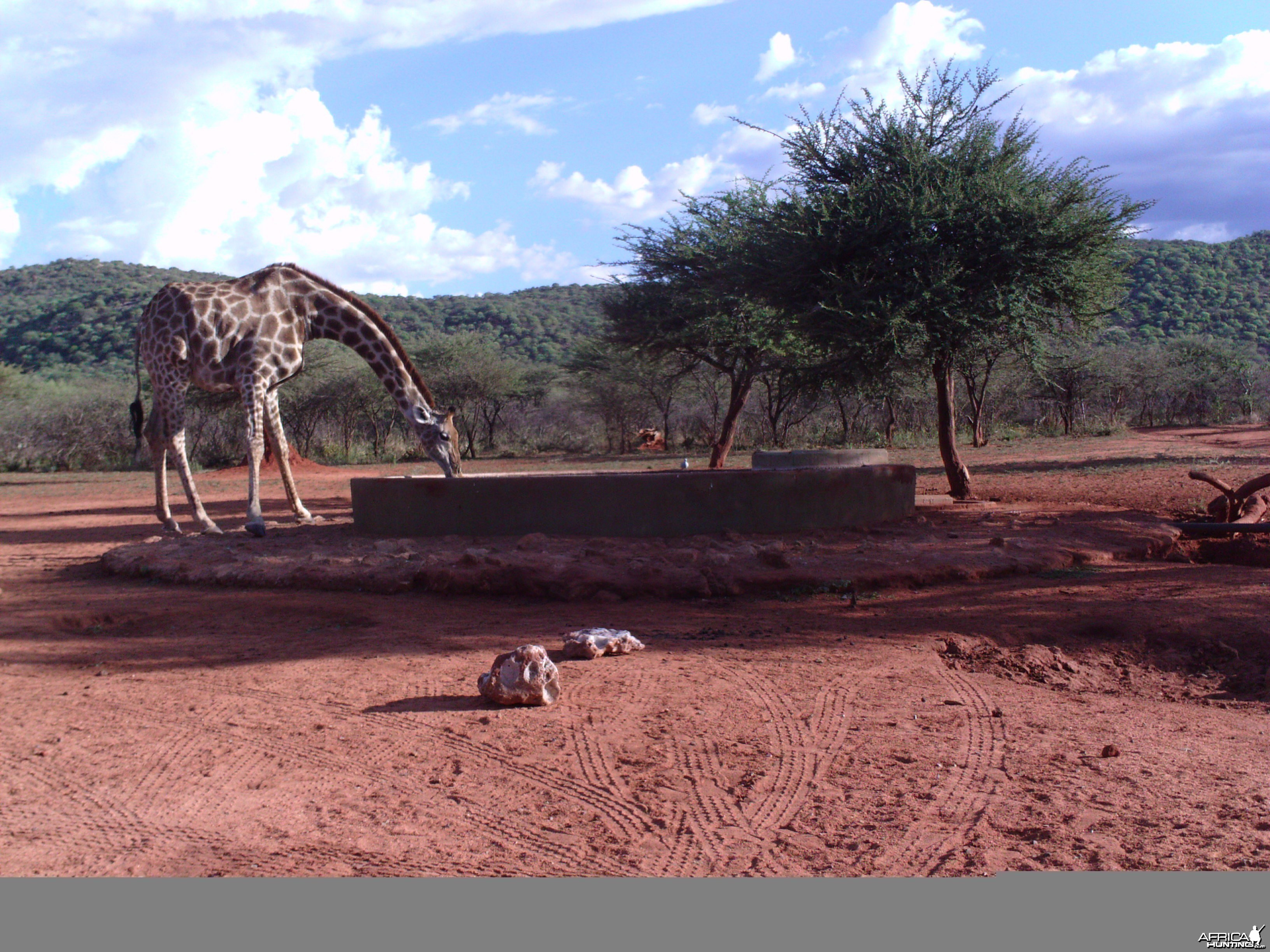 Trail Camera Namibia